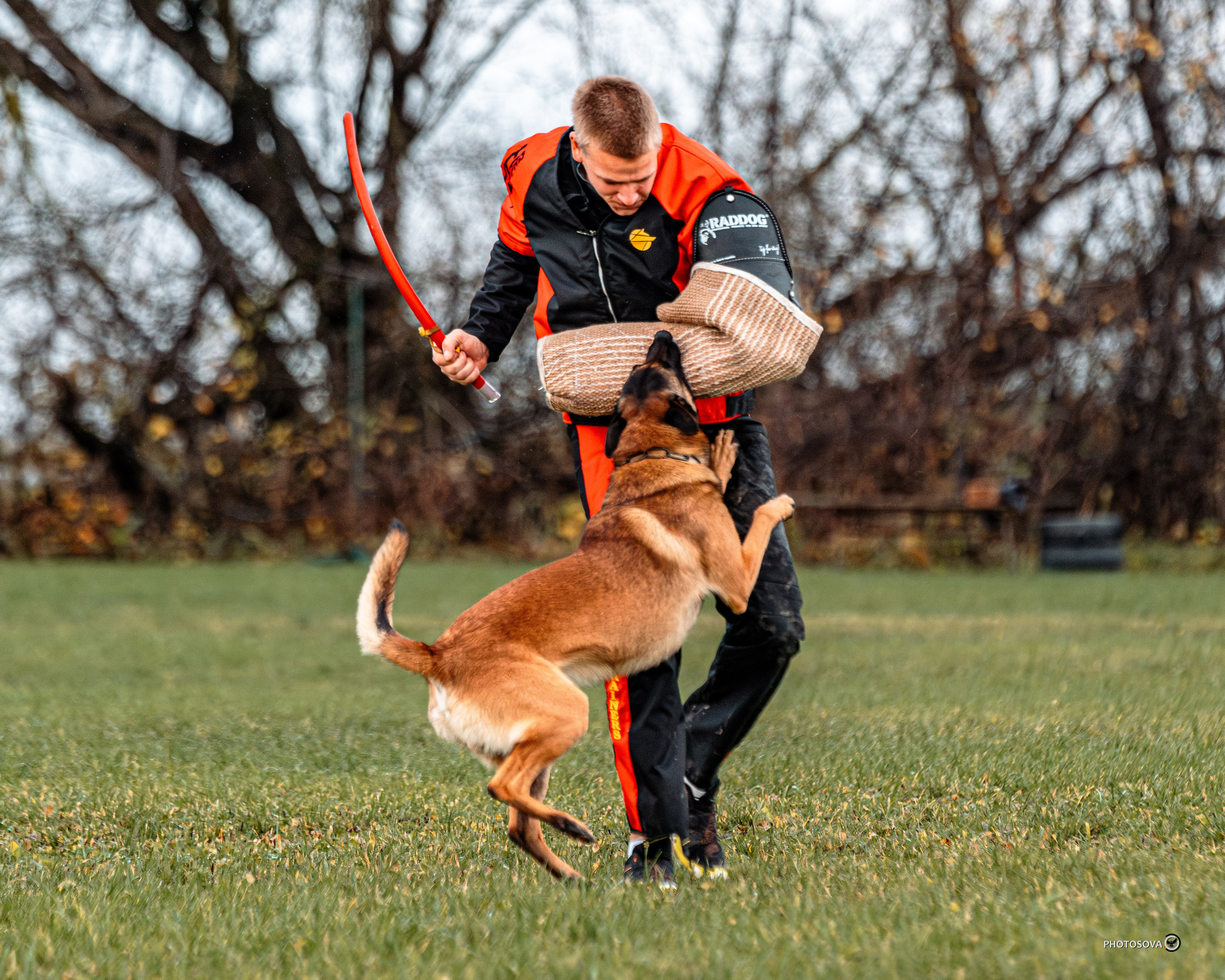 МЫ — КОМАНДА (соревнования) OKD, BH, IBGH, IGP. Фотограф-анималист, семейный фотограф в Москве и Подмосковье. Фотосъёмка кинологических дисциплин