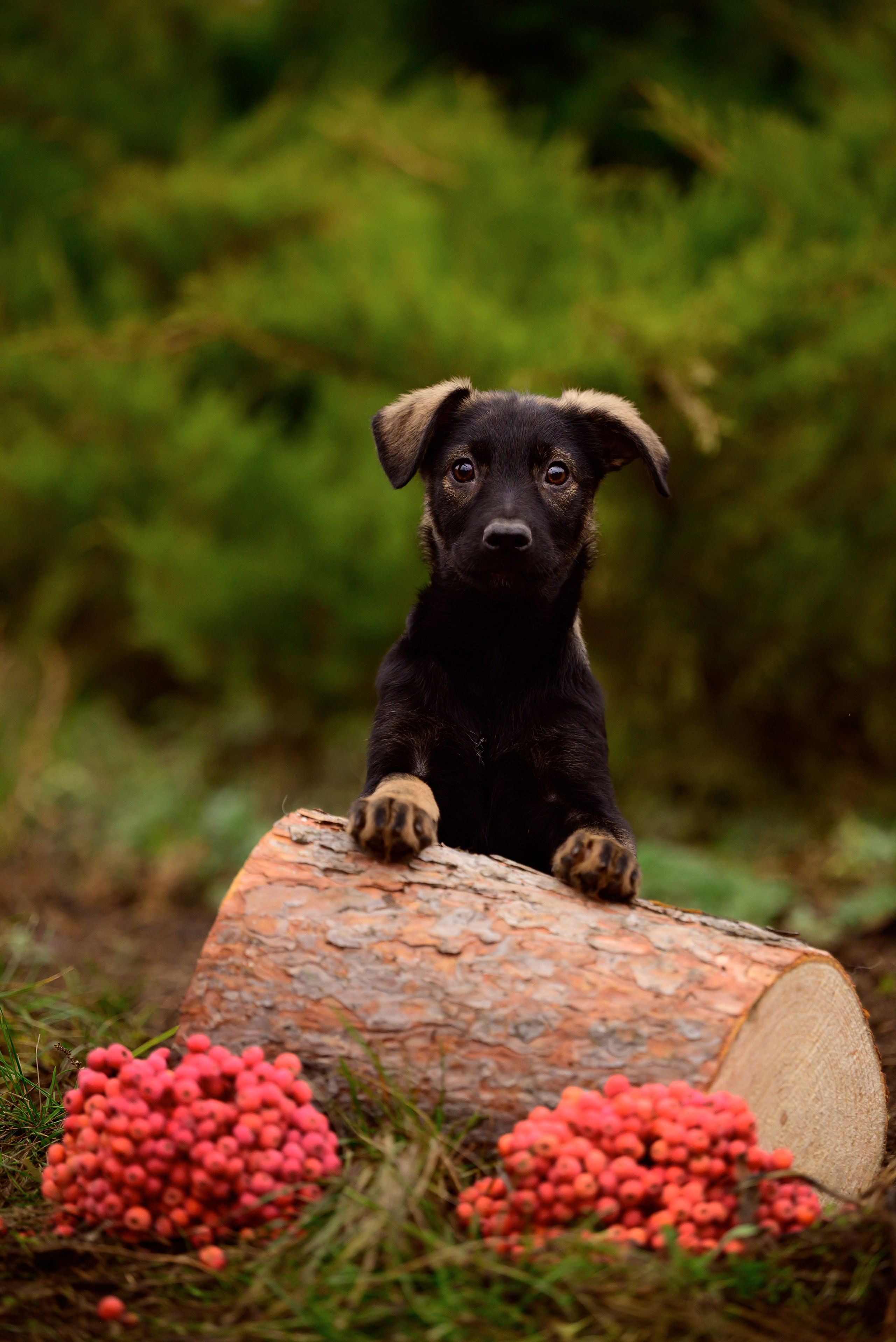 Круассанчики. Мила Астахова
