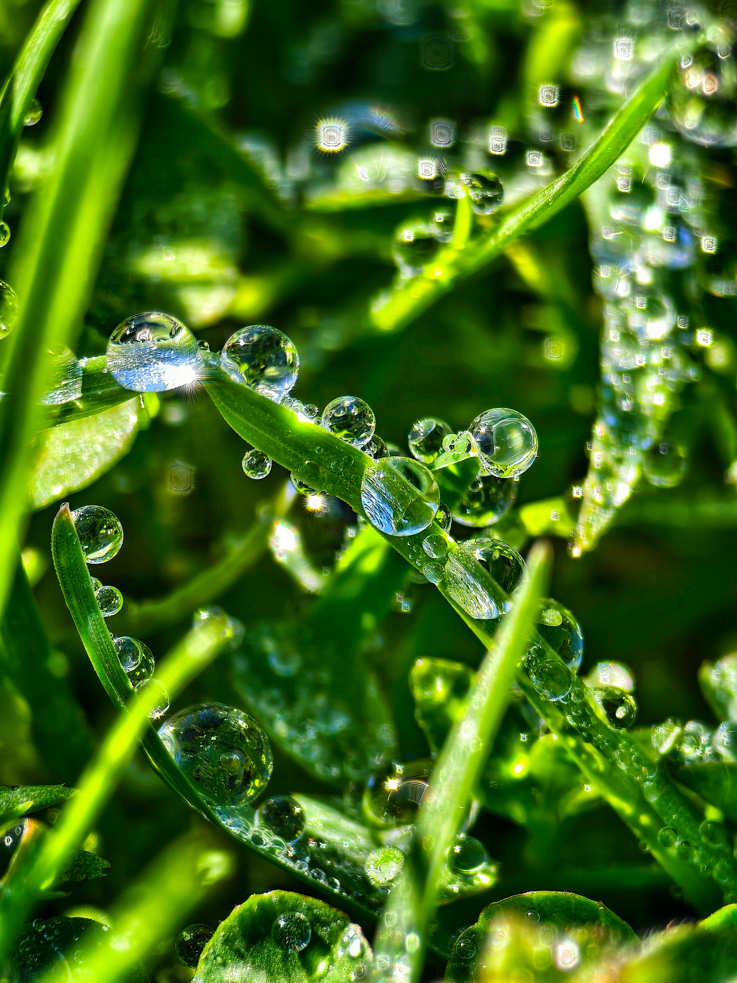 Макрофотографии капель воды: детали дождя, росы и абстракции | Съемка крупным планом