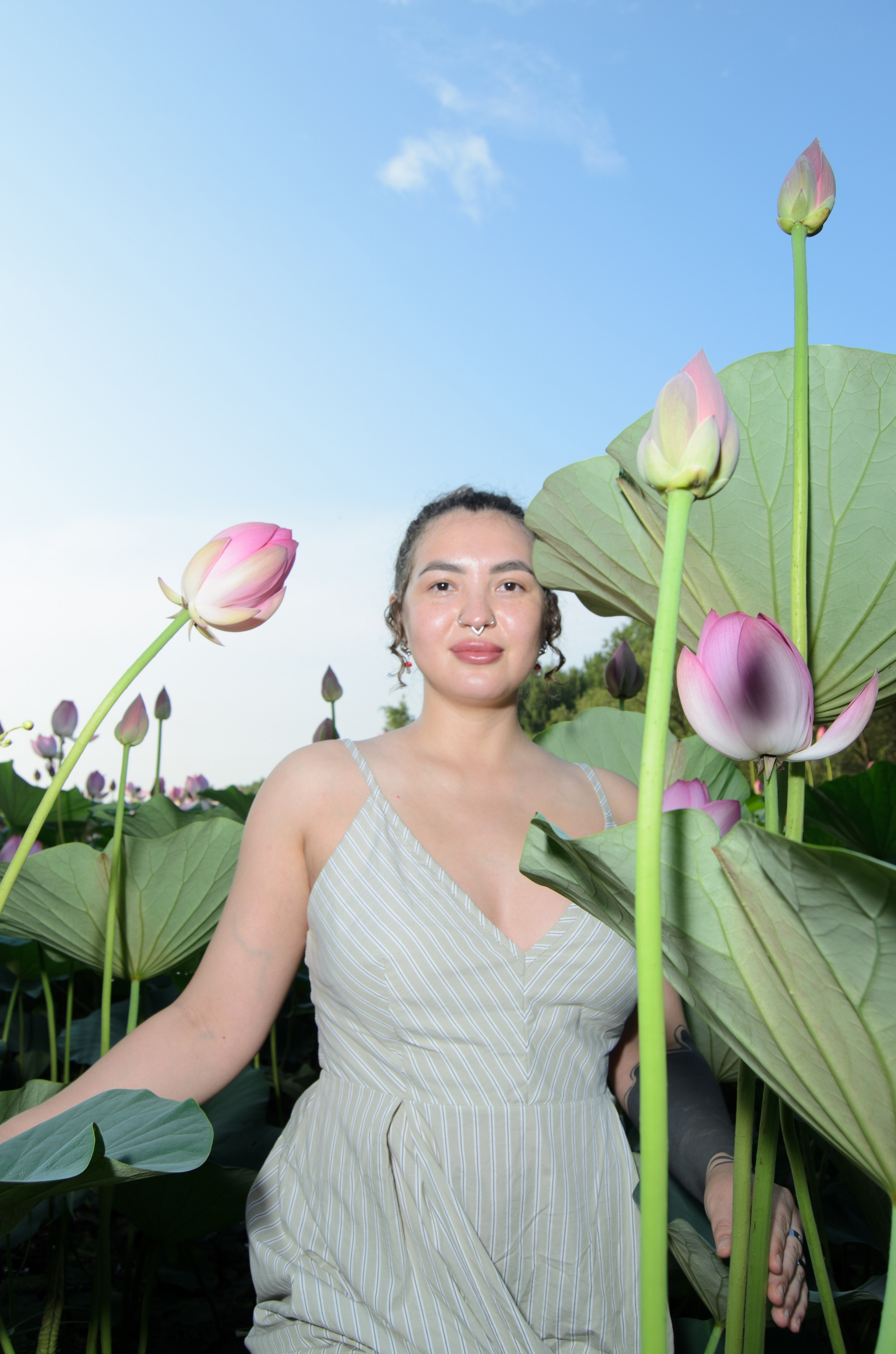 Лотосы. Колентеева Наталья/фотограф