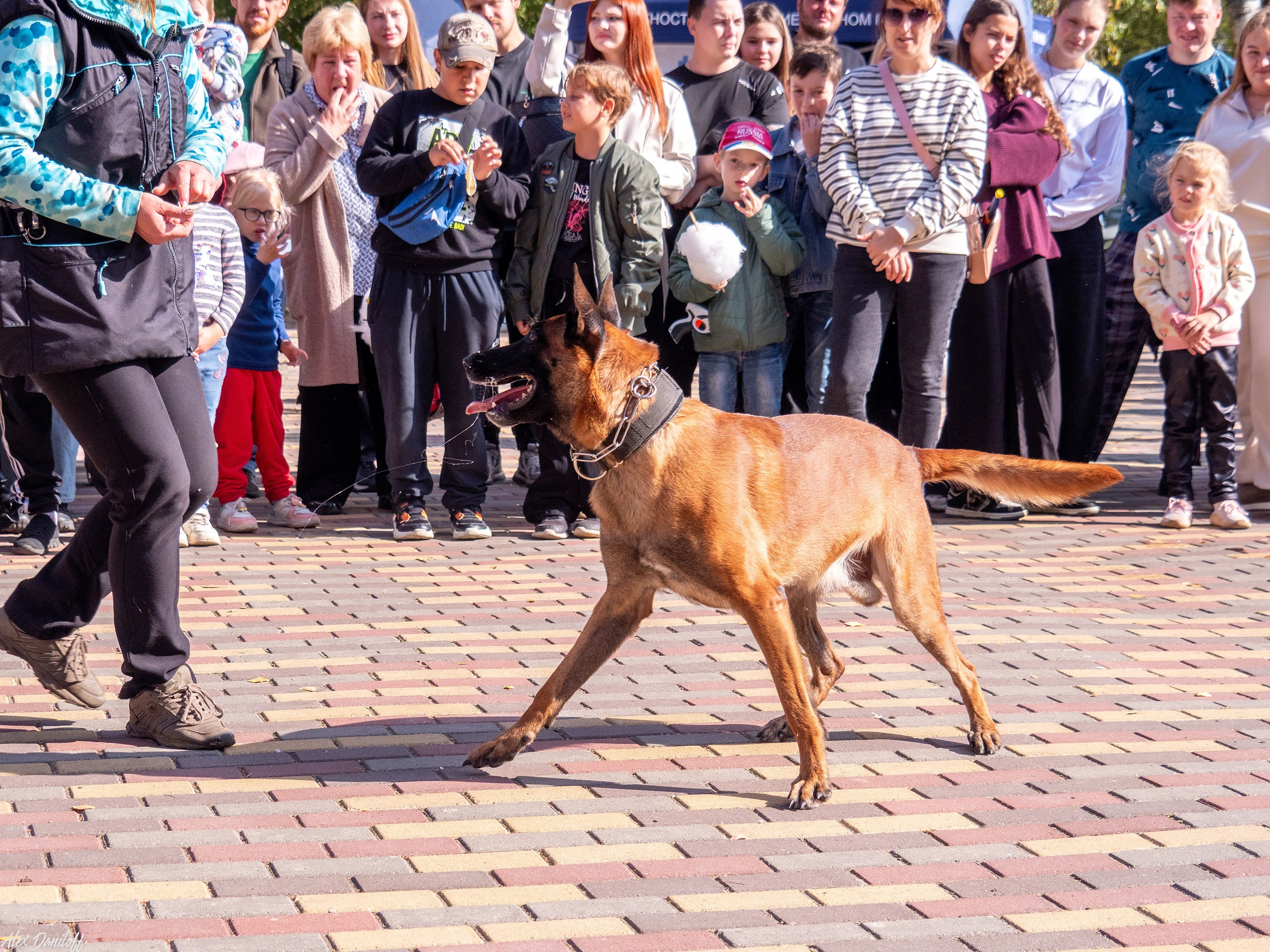 Обнимака 2025. Муром-Инфо. Новости культуры, образования, спорта в городе Муром
