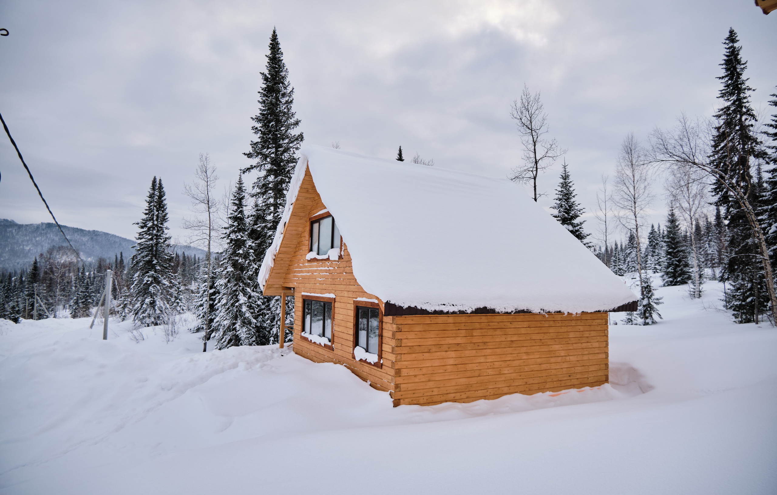 Цветочная ½. Свадебный и семейный фотограф в Новокузнецке Иван Иванов