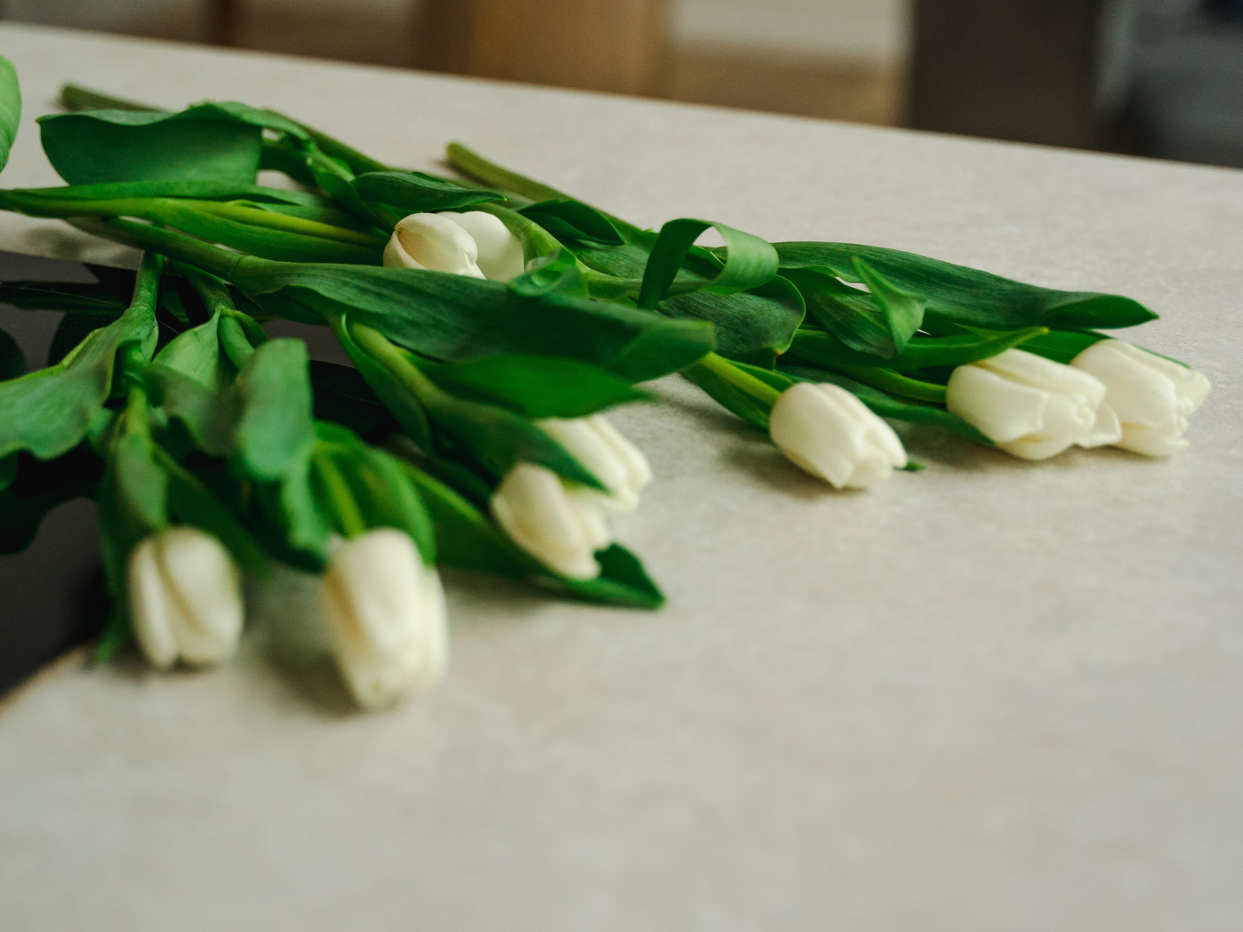 Big Family Алина. Свадебный фотограф Москва Инесса Зверева