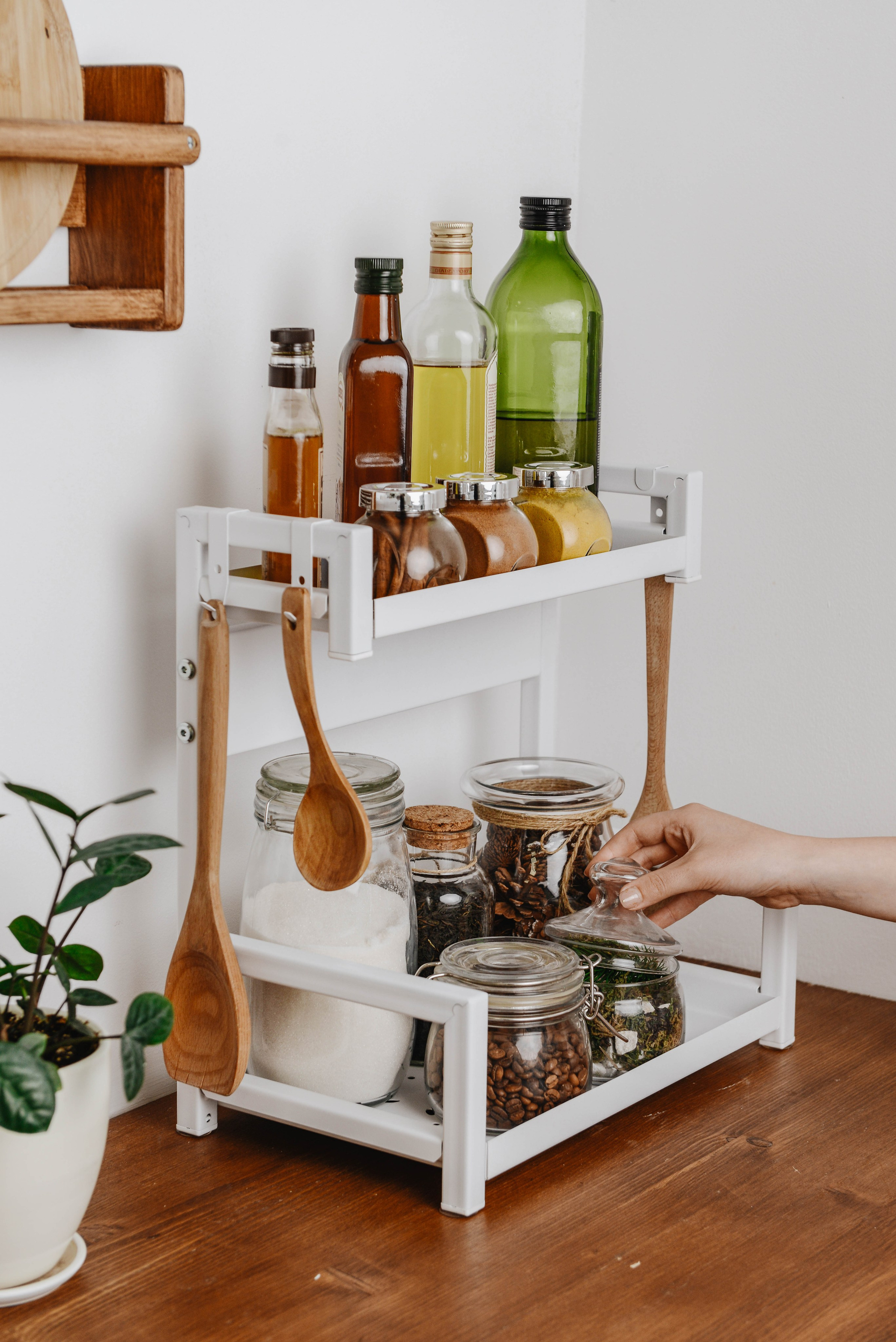 Каталог. Фотограф Фирсанова Алина