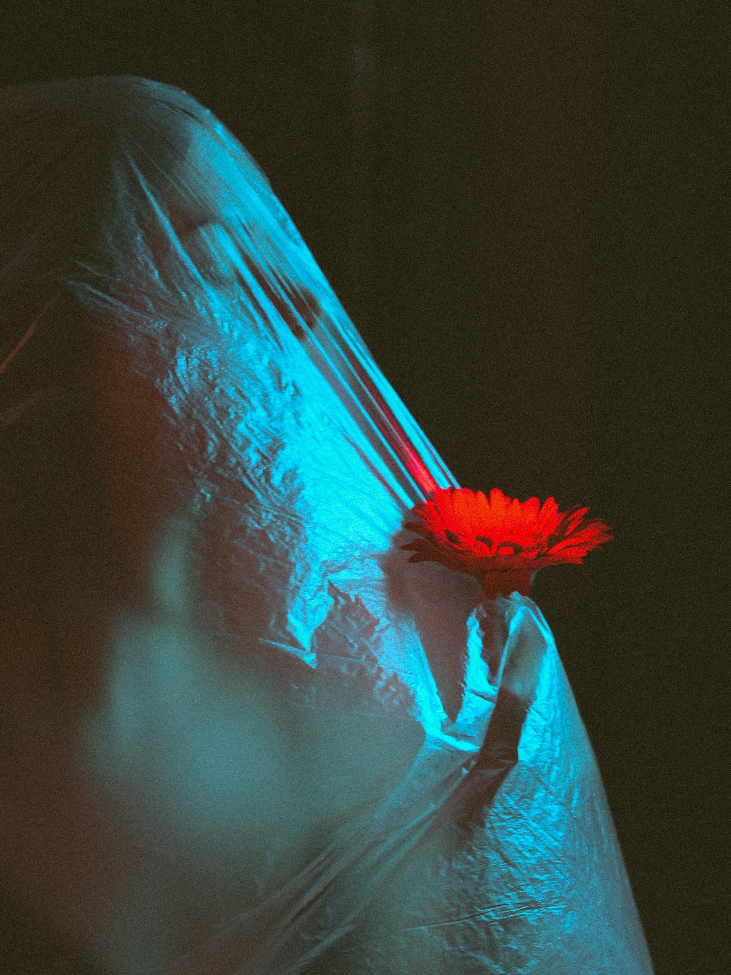 Анна. Фотограф Евгения Кудрявцева