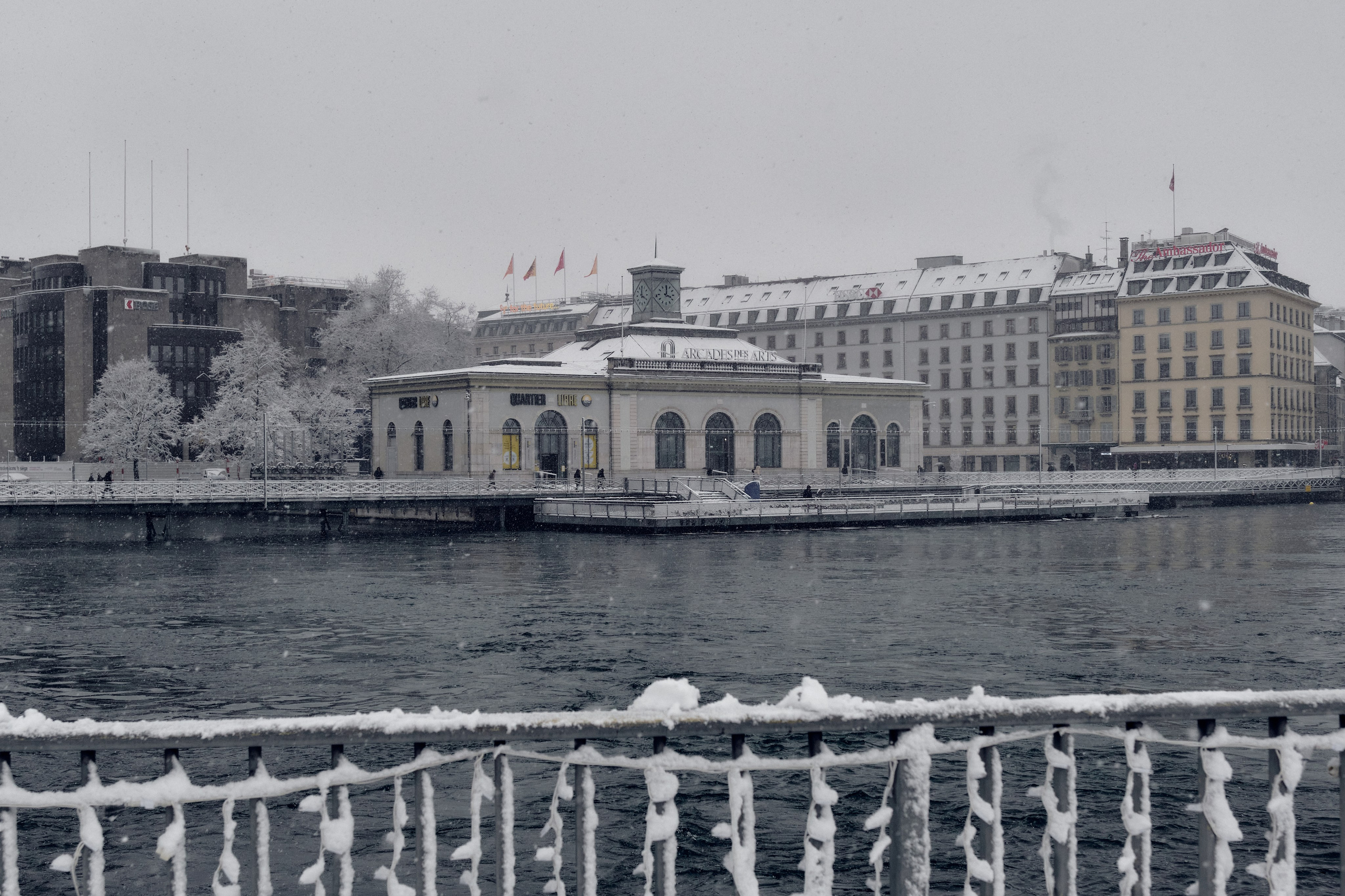 Geneva / winter 2024. Aleksandr Kobtsev