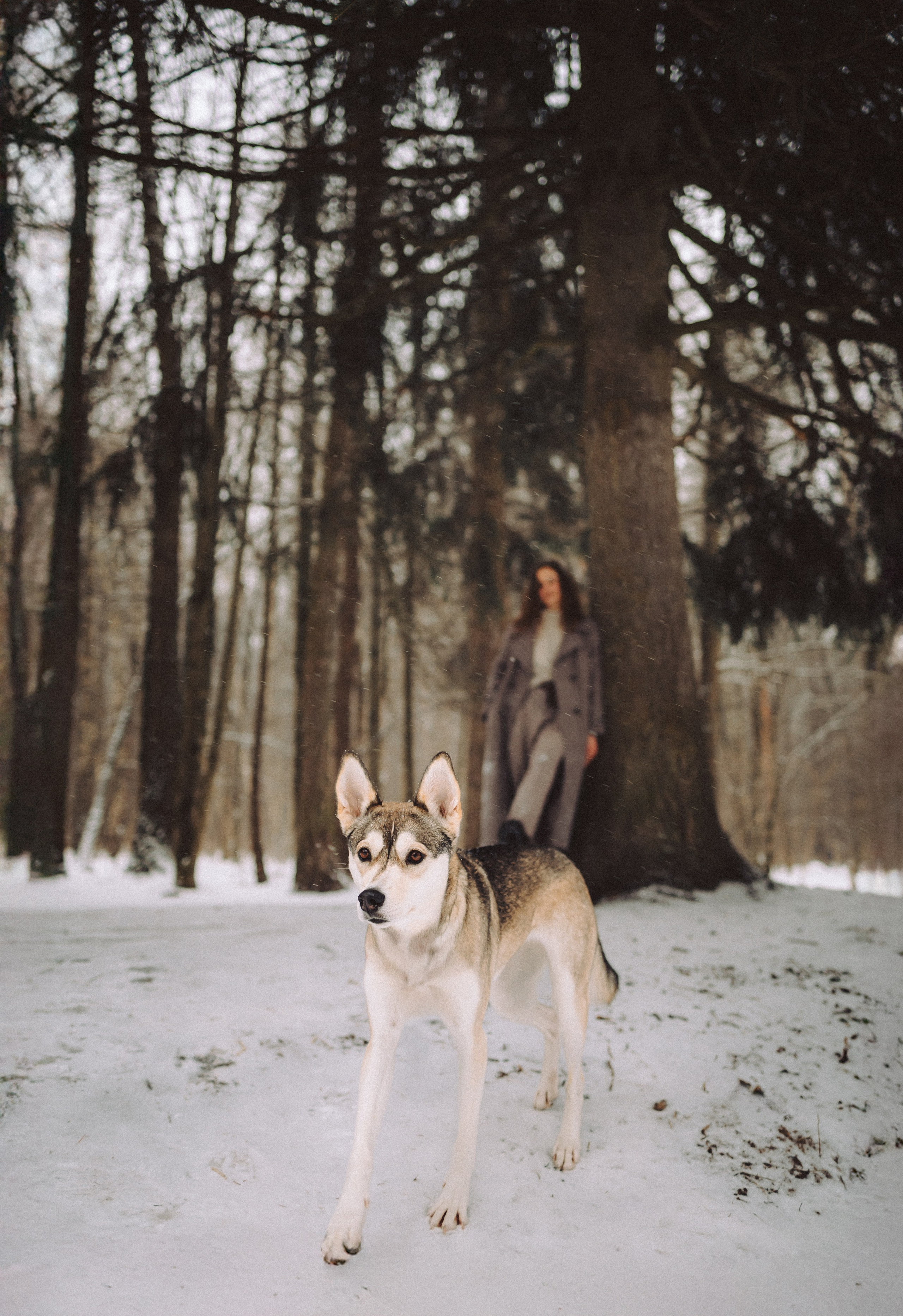 Аня и Рокси