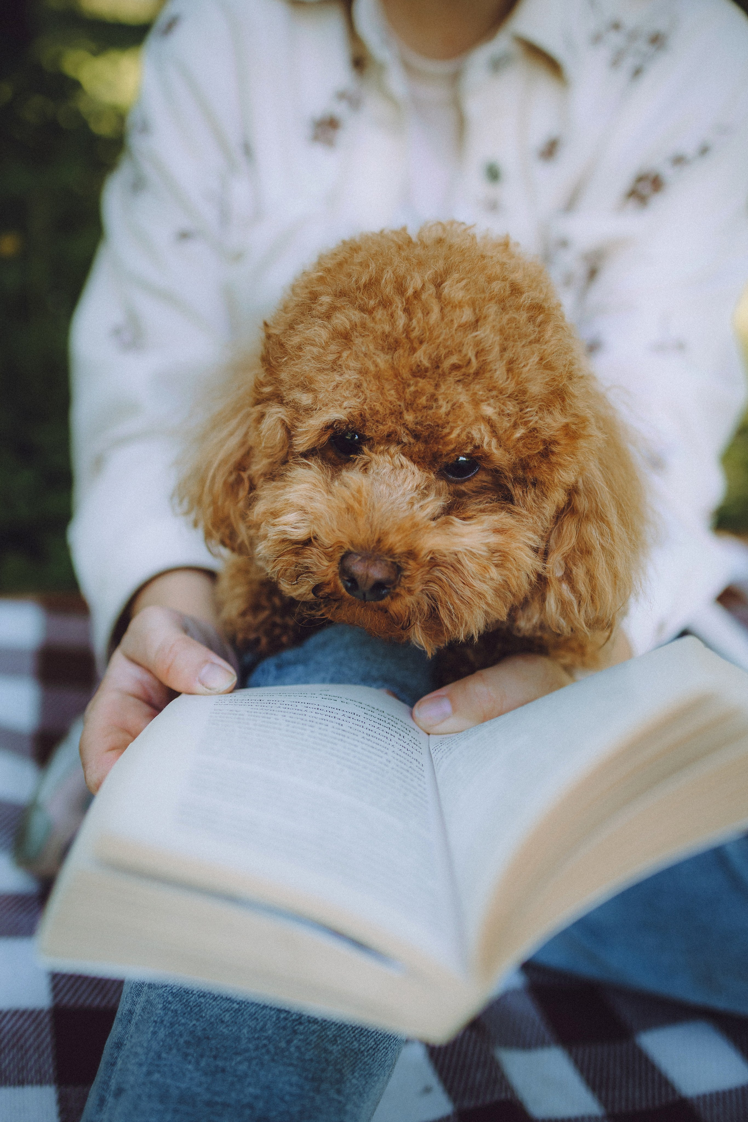 Марья и Буба