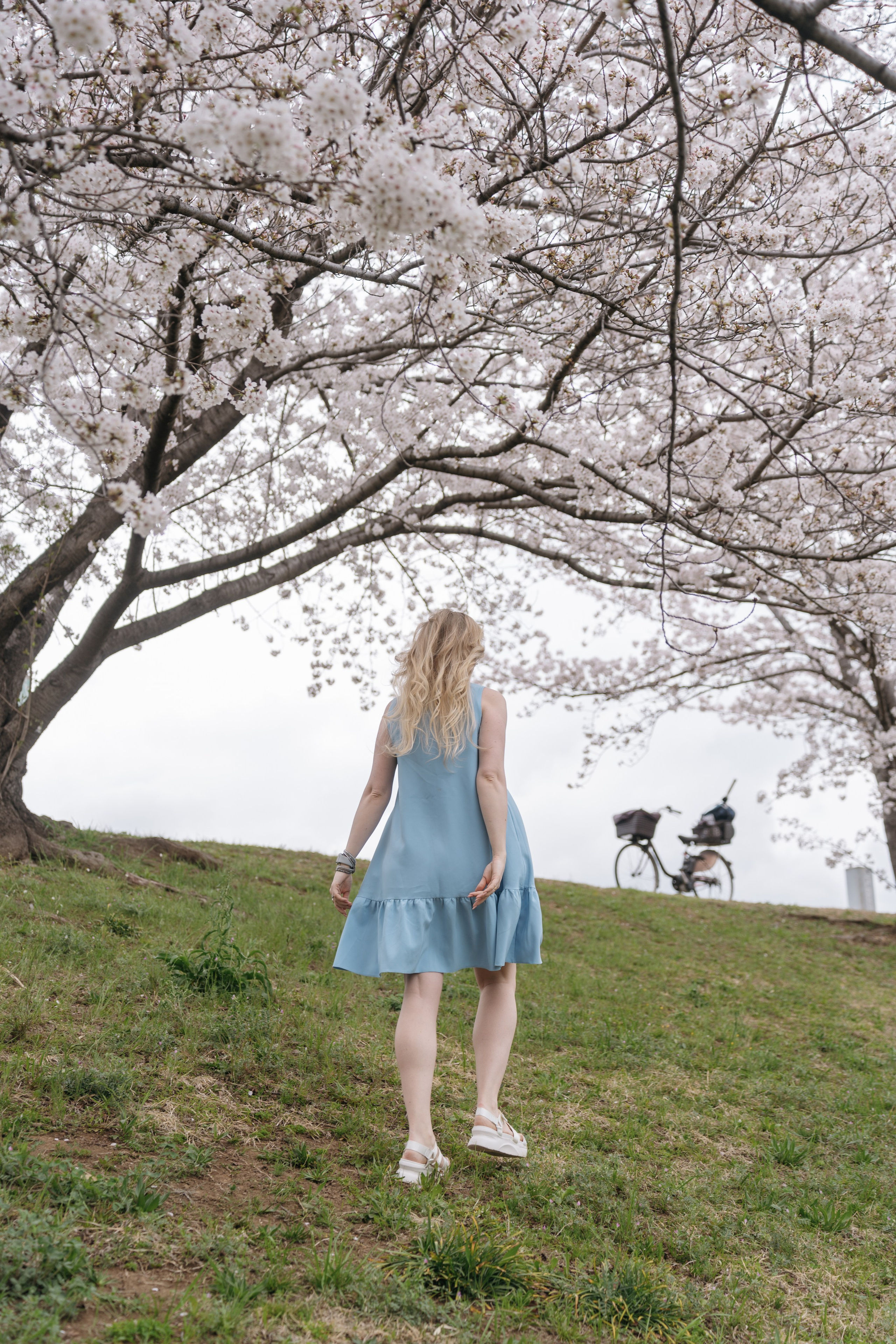 Sakura. Фотограф Алина Диева Москва | Токио