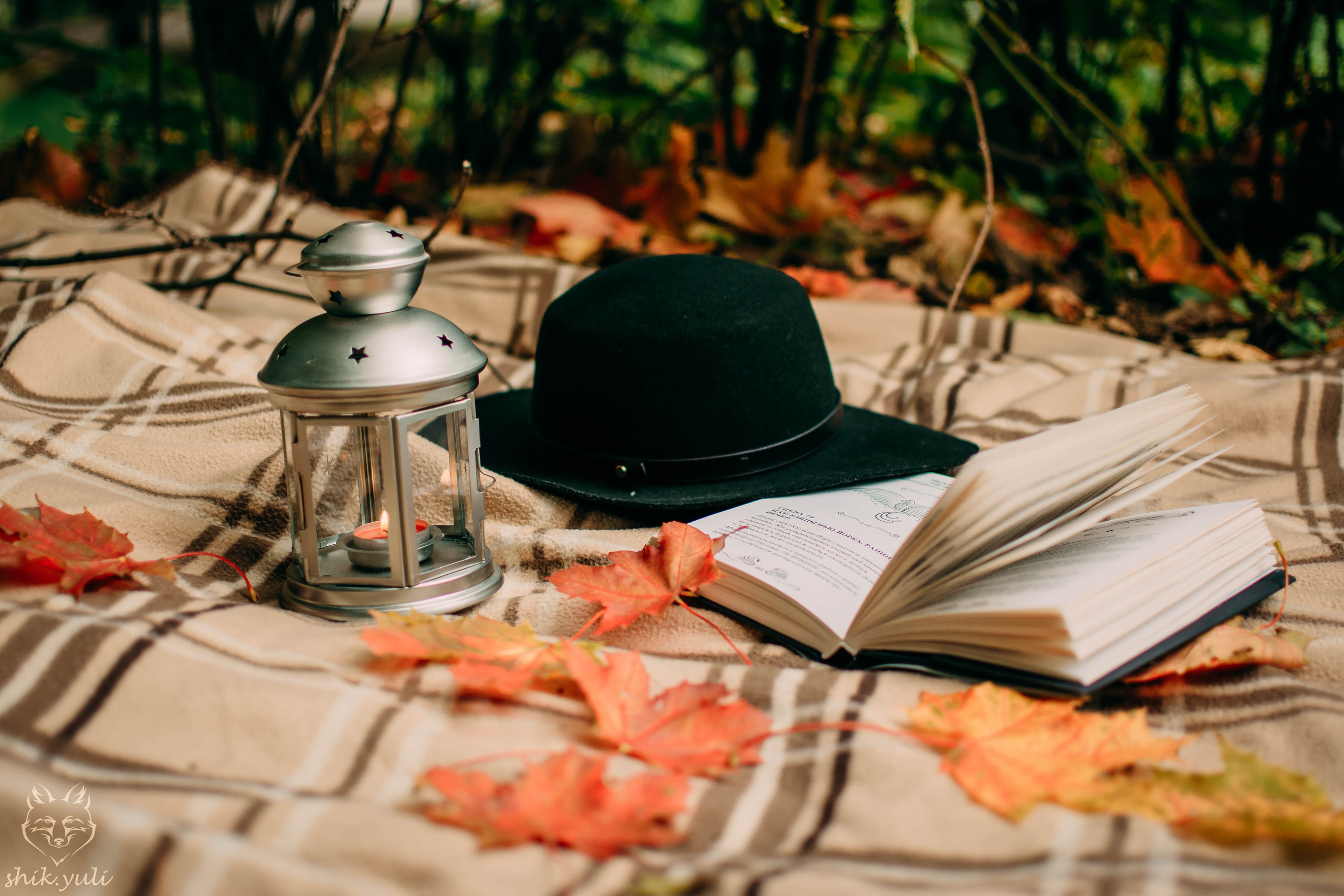 Стиль - осень. Свадебный и семейный фотограф в Москве Юлия Шикалова