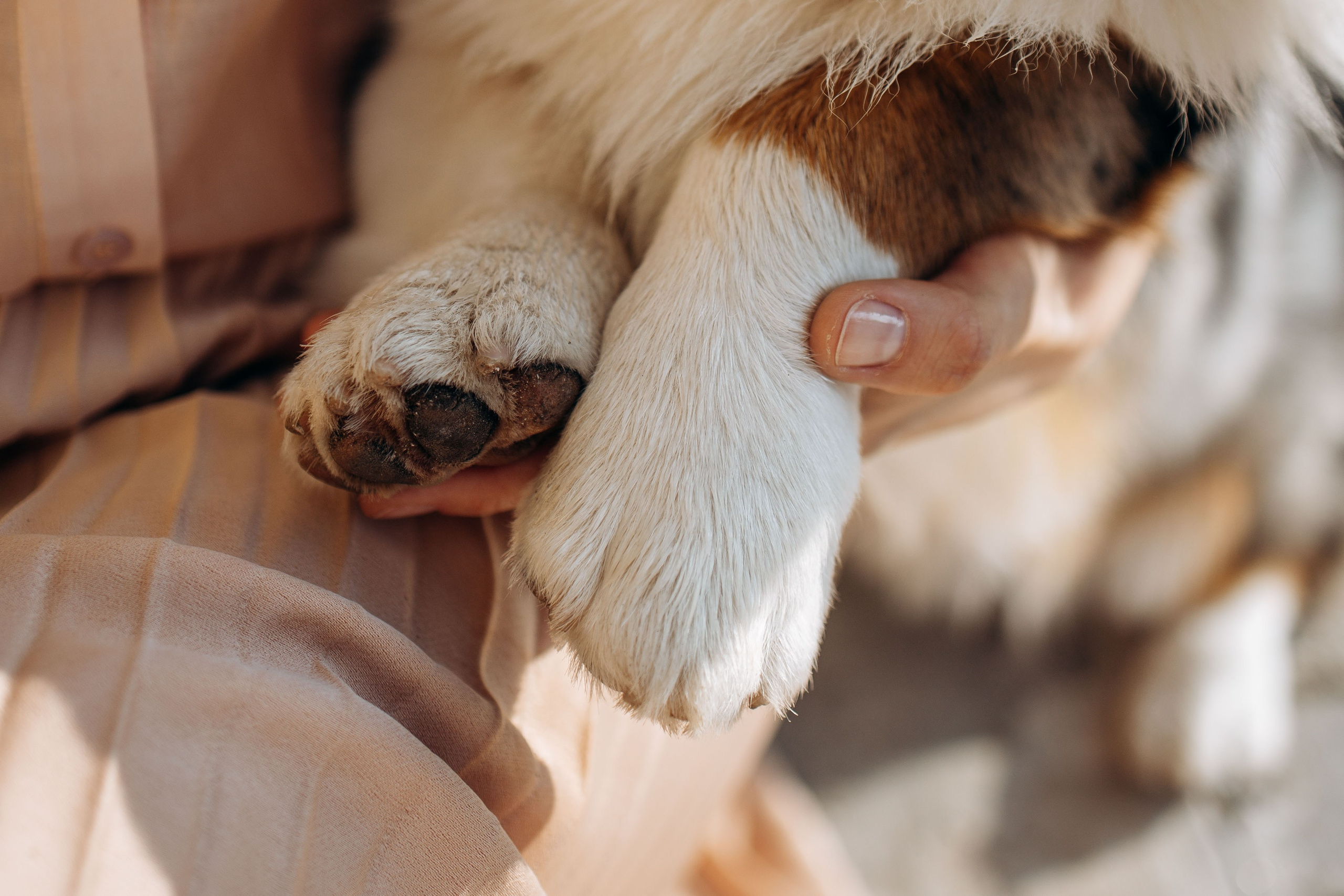 Евгения и Грей