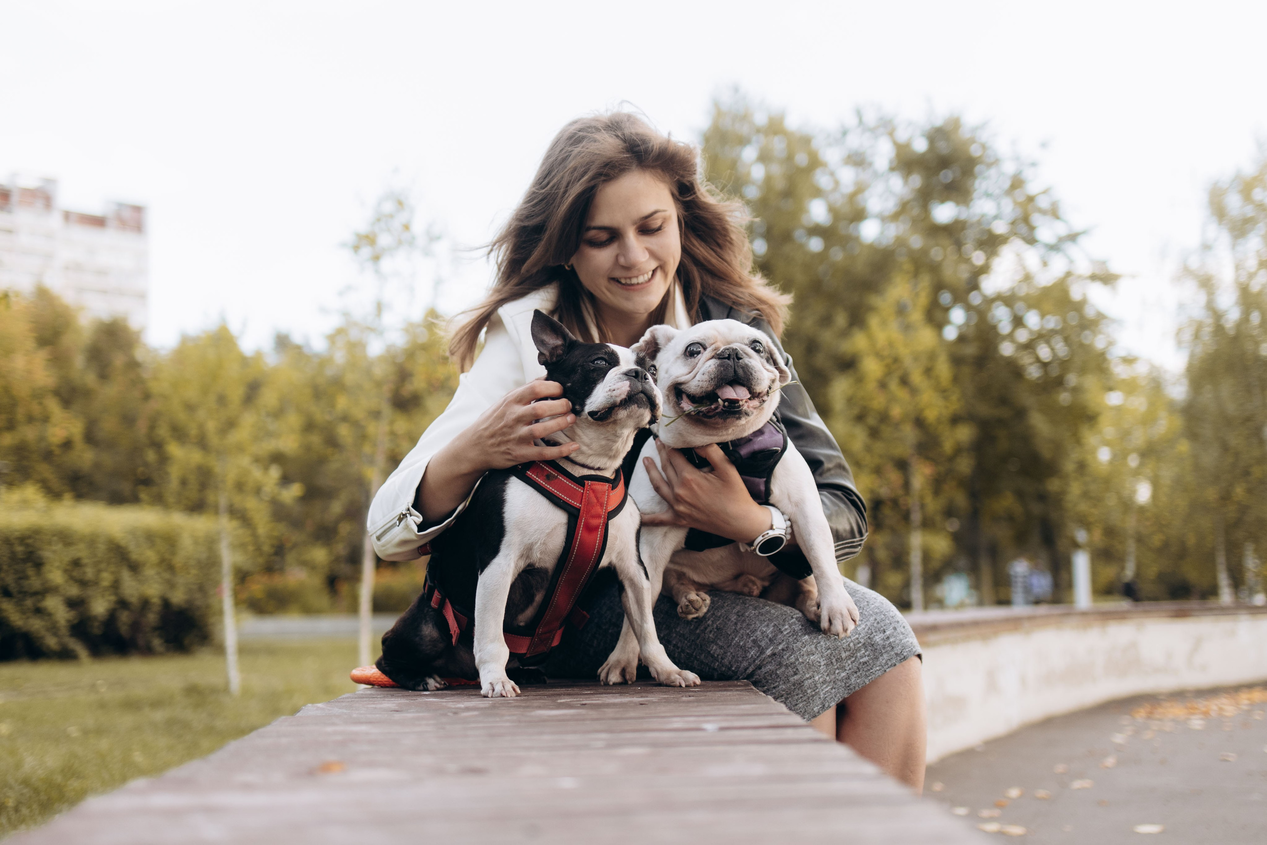 Оля и бульдоги