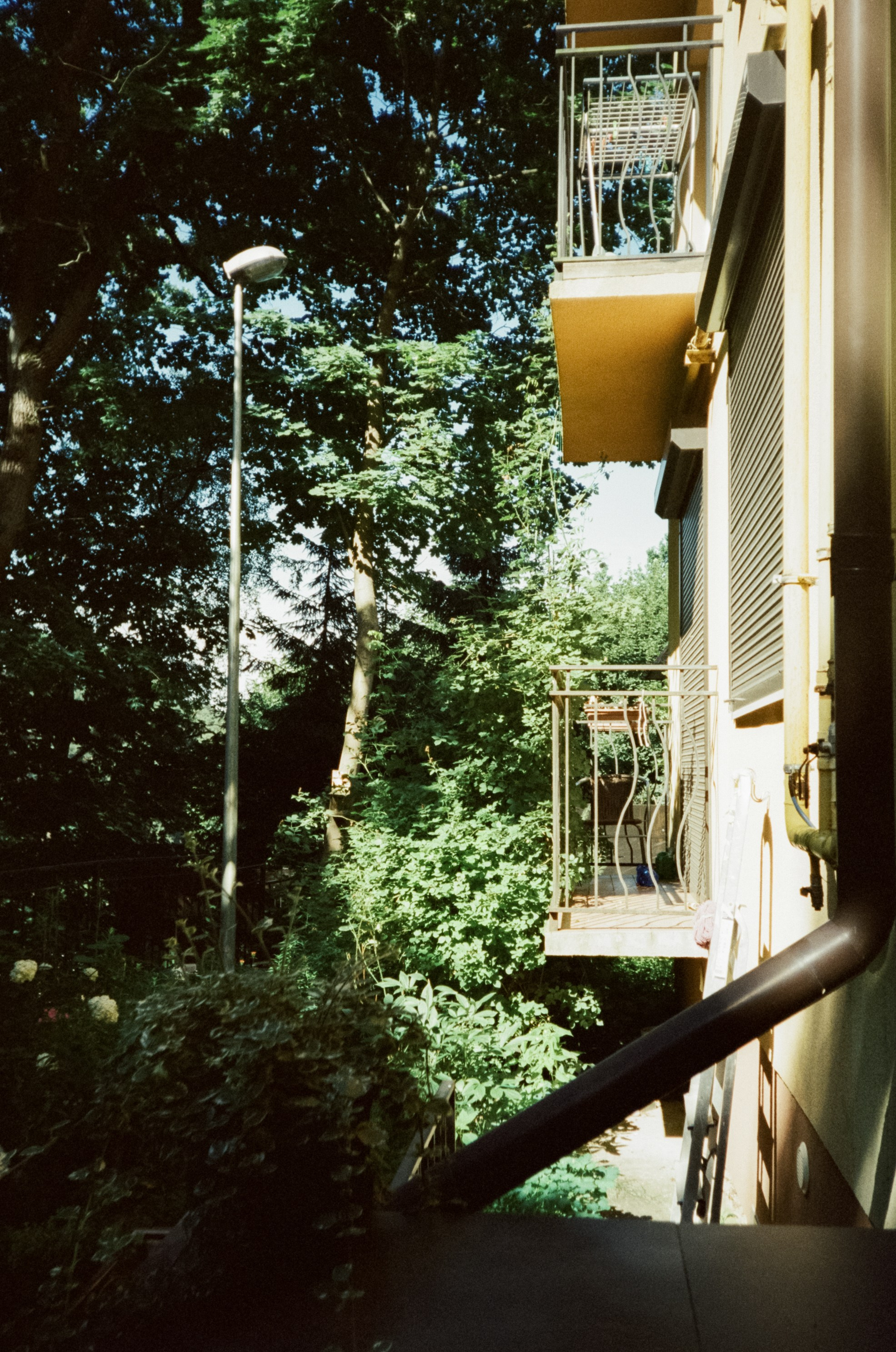 Прогулка по улочкам и дворикам Зеленорадска. Фотограф-документалист Мария Осокина