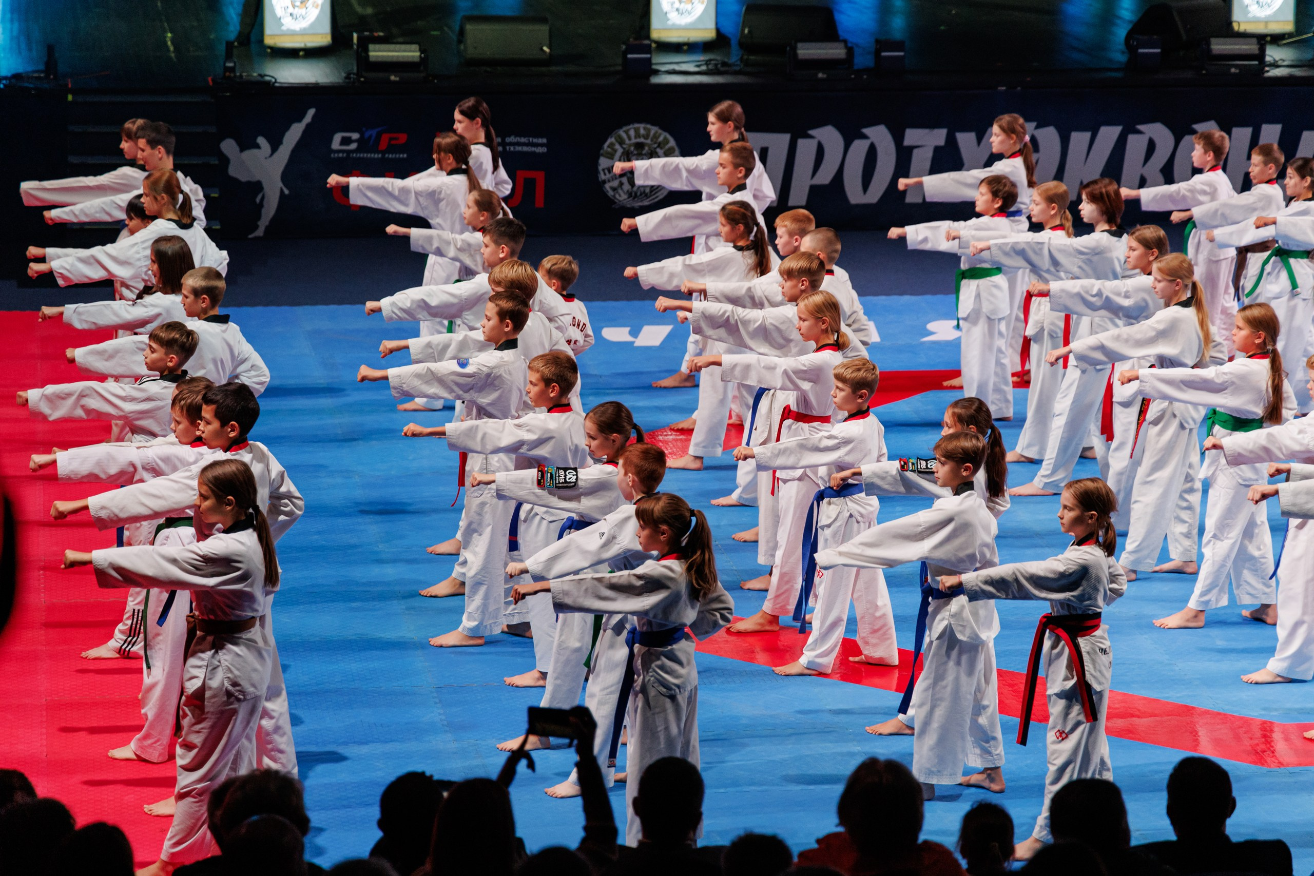 ПроТхэквондо Тур | Финальный этап