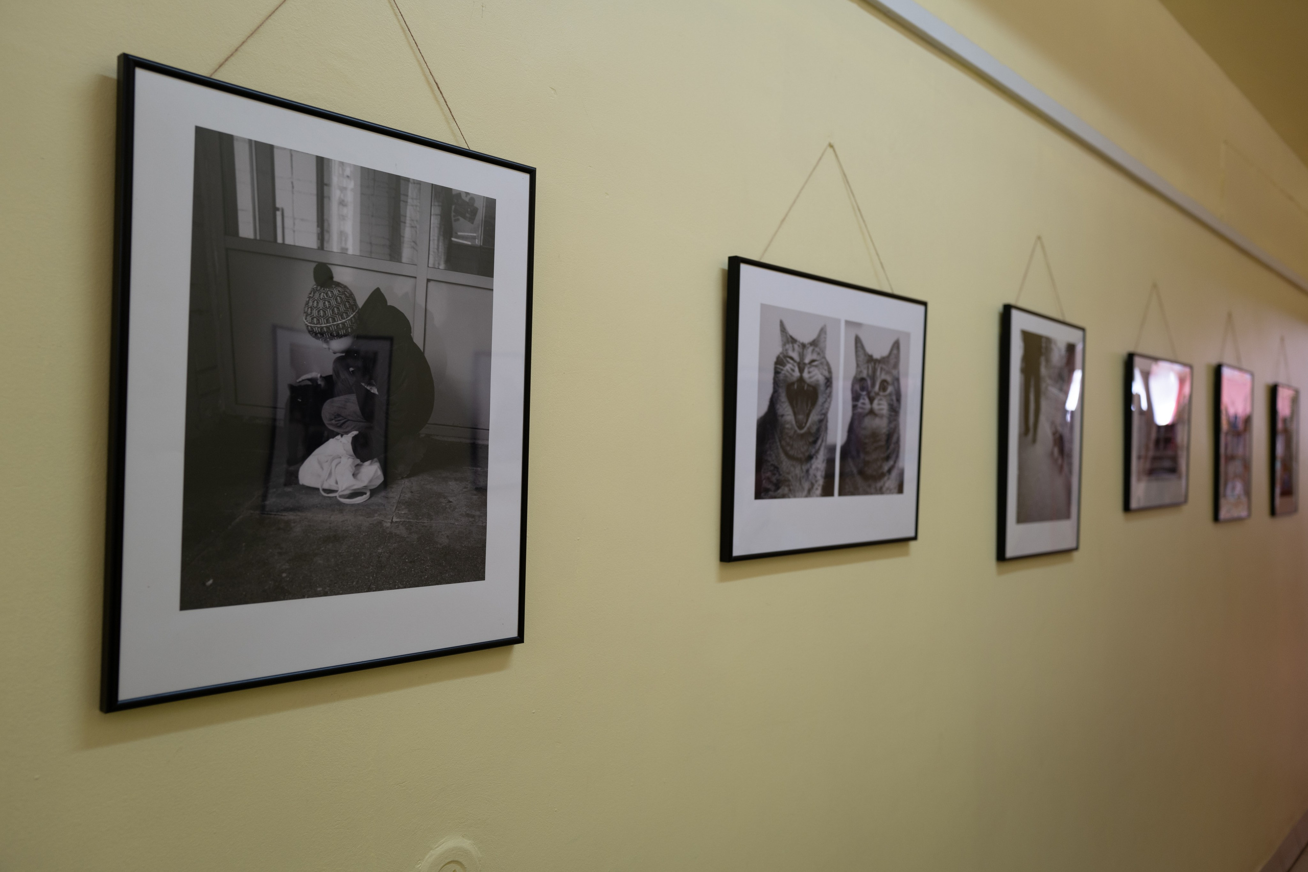 Выставка 01.04.2025. Фотограф Александр Тихонов