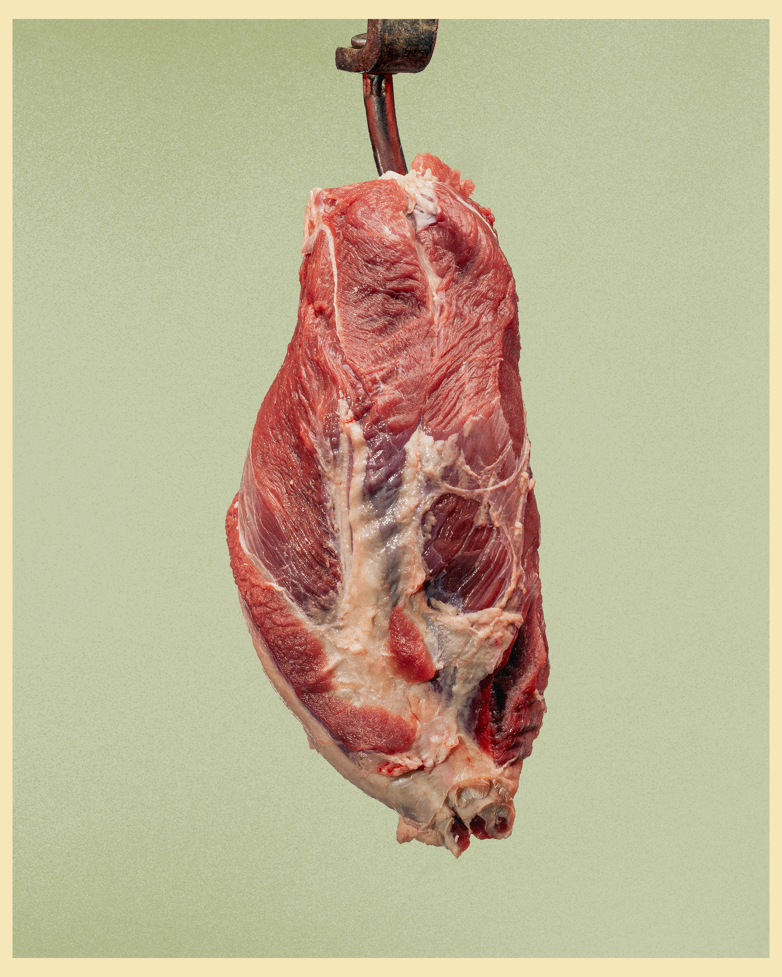 HBP x VANO. Ivan Petrov photographer