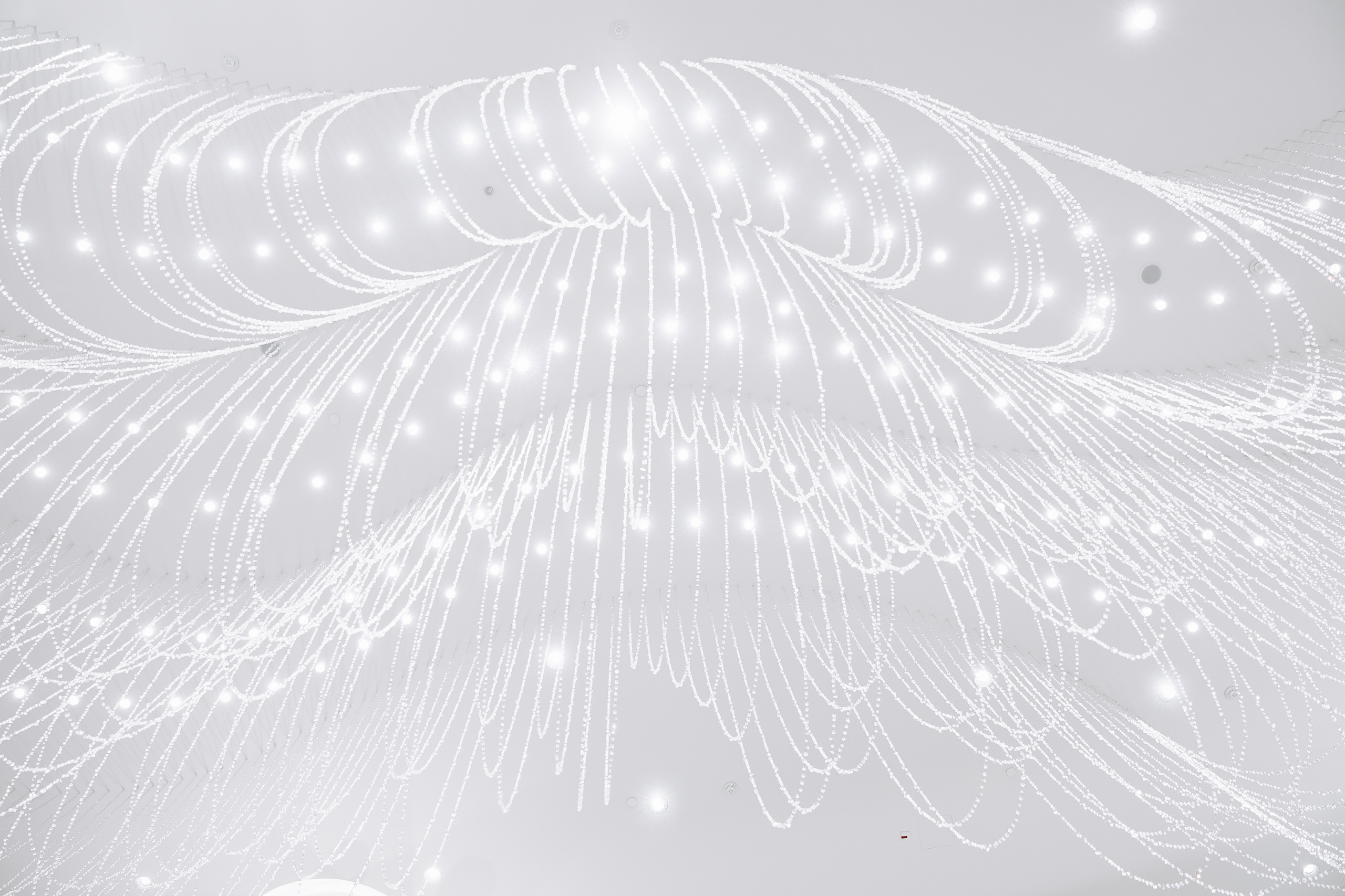 Светлана и Стас: Хаят, Мишель. Свадебный фотограф Москва