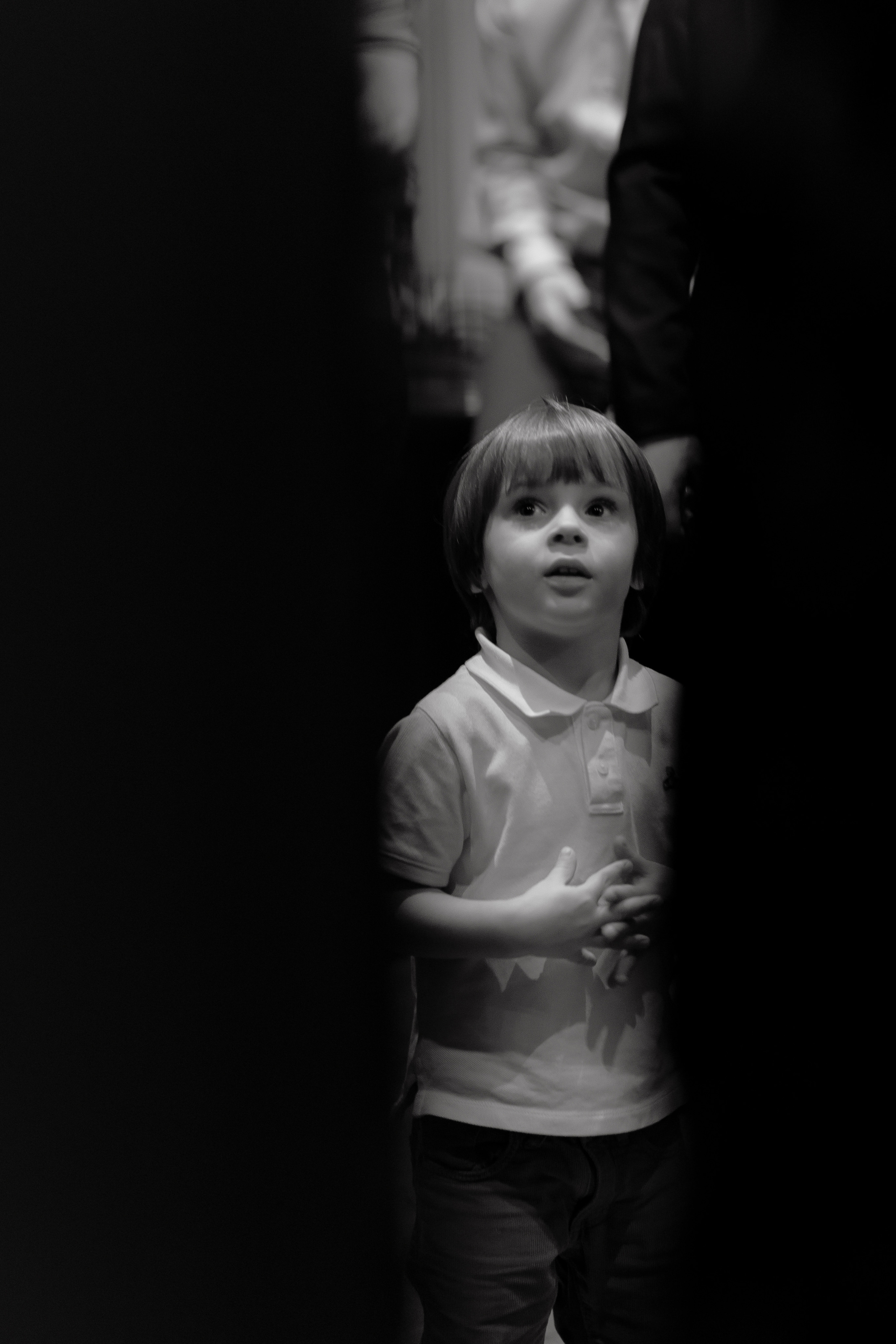 Светлана и Стас: Хаят, Мишель. Свадебный фотограф Москва