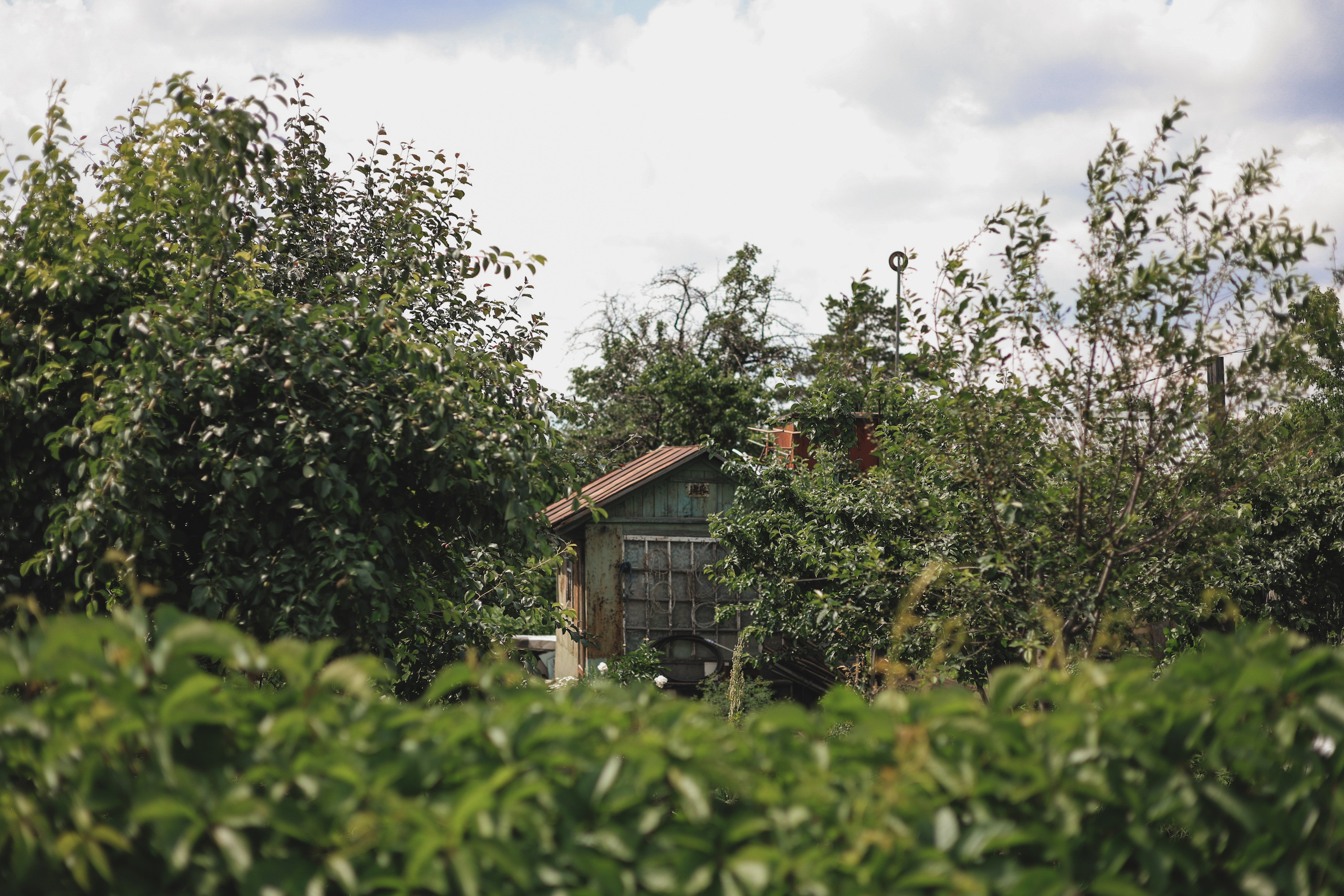 СТРИТ И ПРИРОДА. Репортажный фотограф Наталья Лапцевич