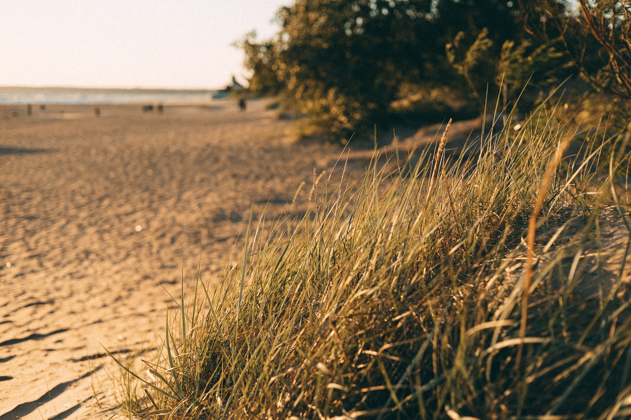 На заливе. Главная