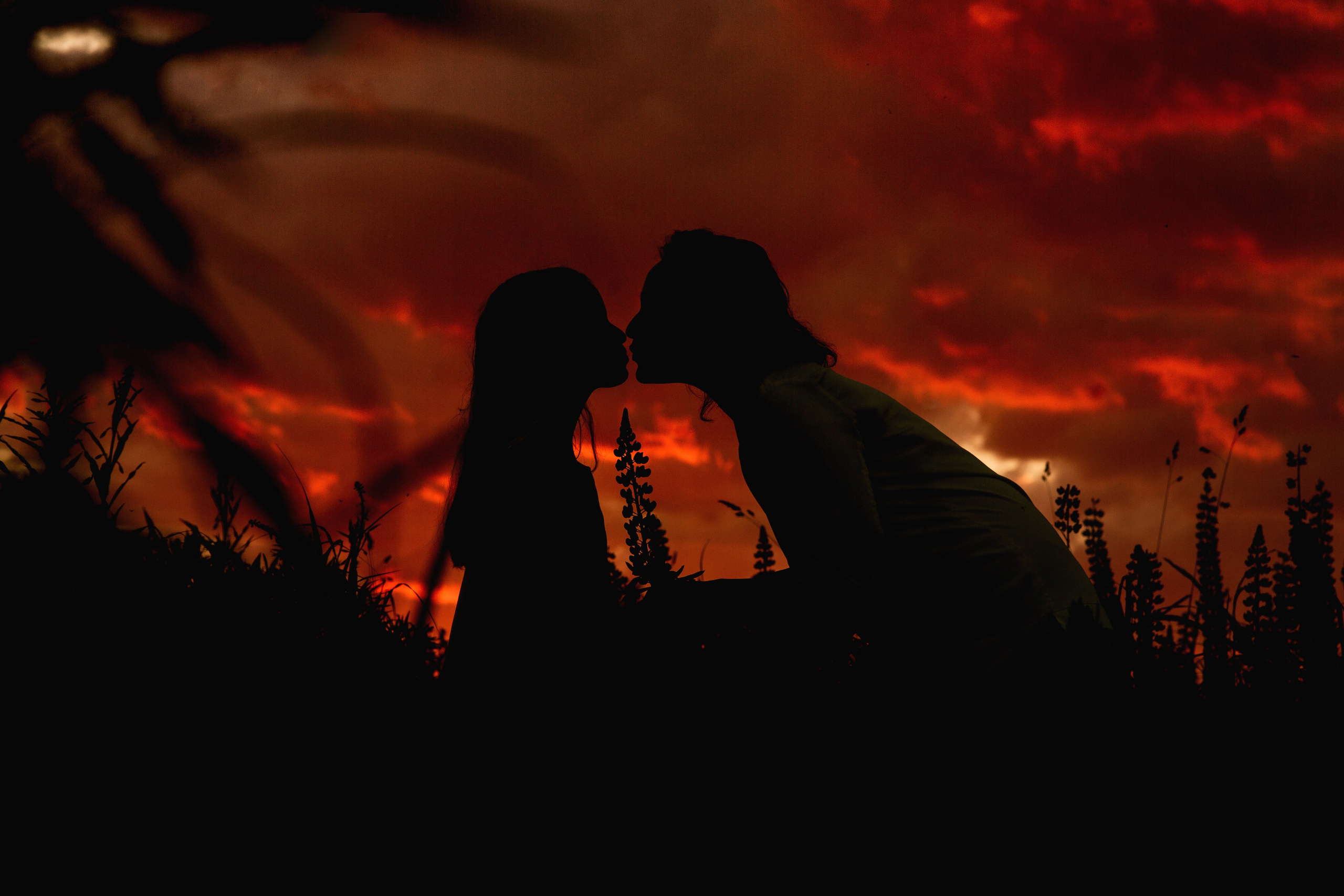 Солнечное лето. Семейный фотограф в Москве