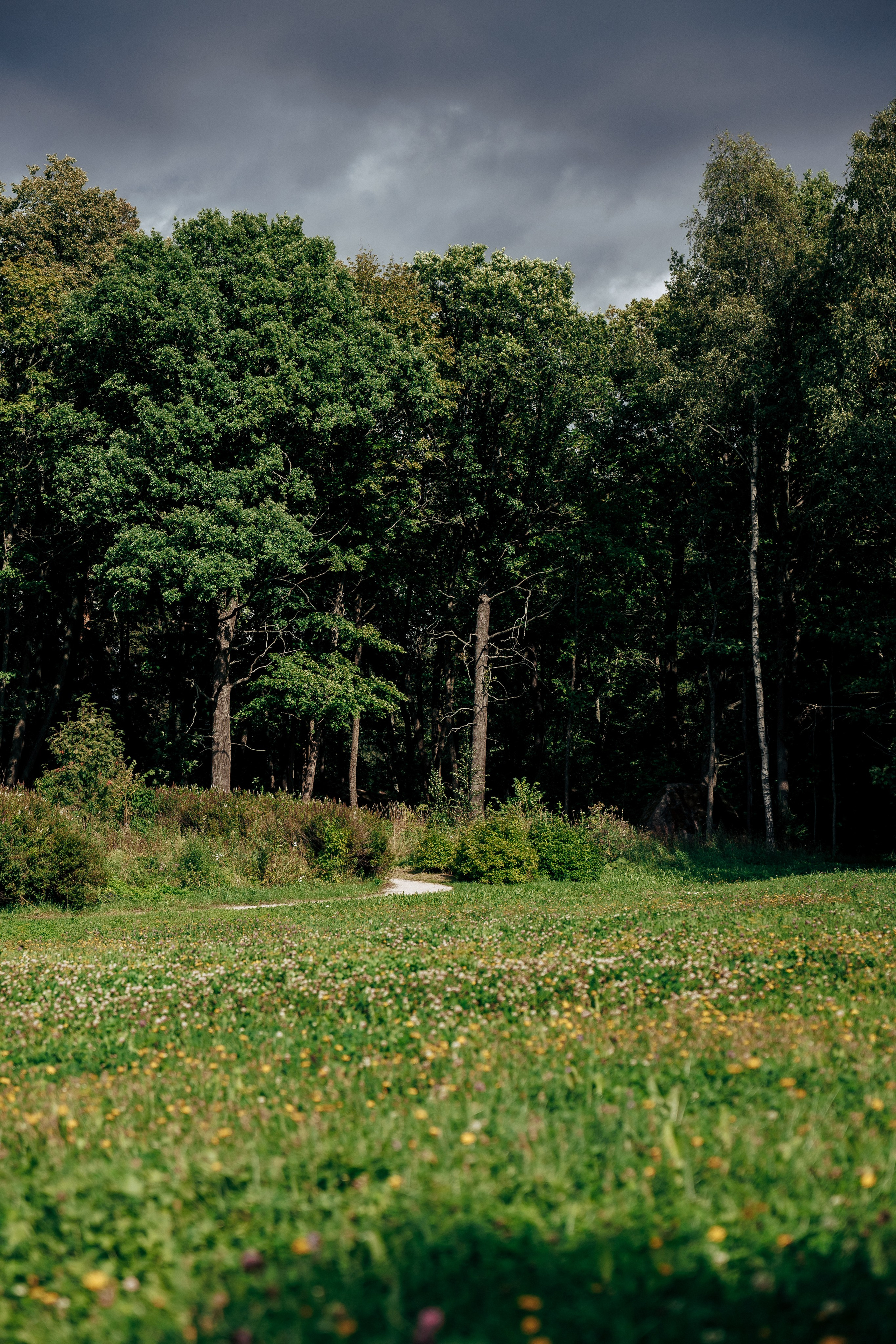 Фотосессия в лесу. Профессиональный фотограф в Санкт-Петербурге Александр Волосенцев