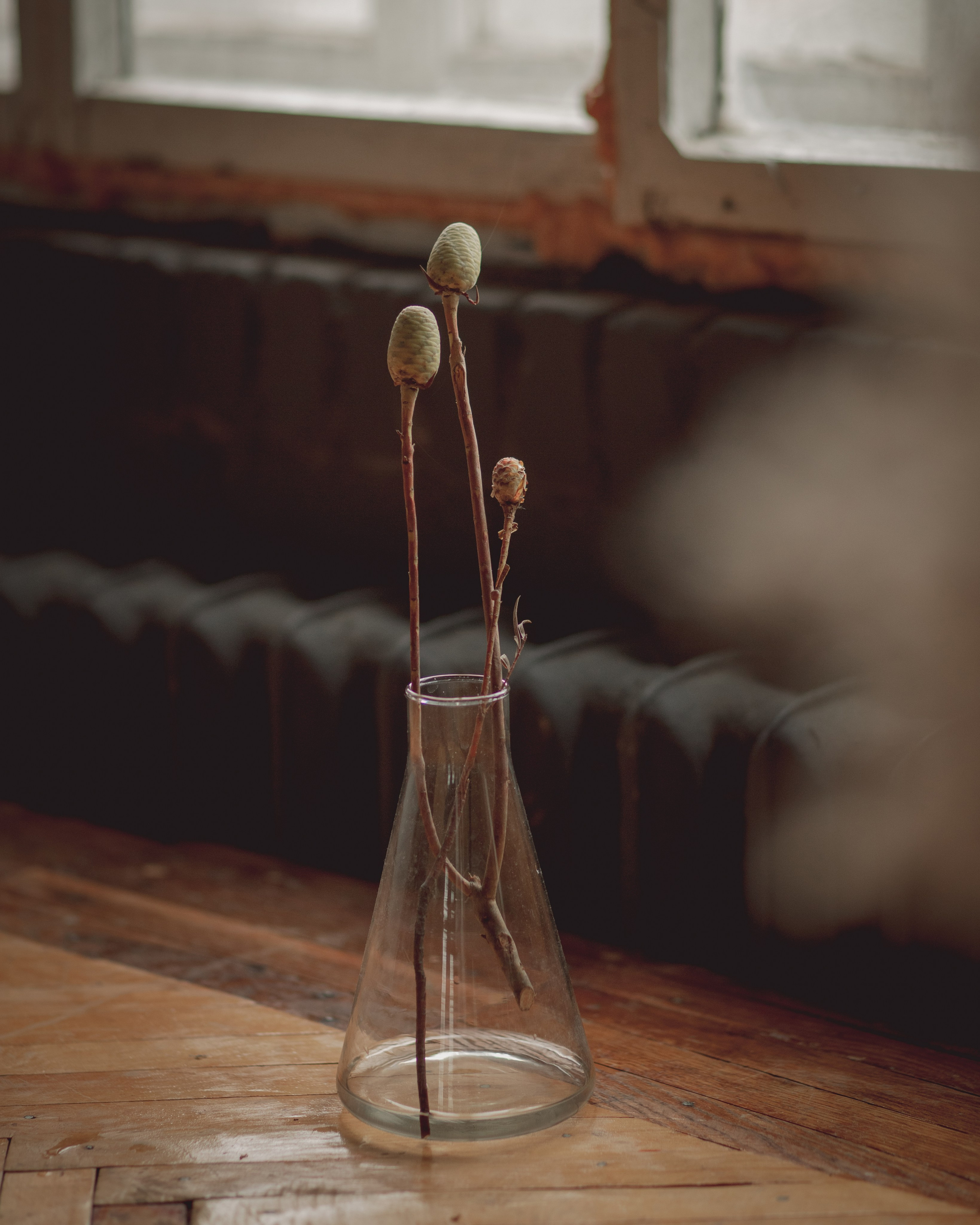 Мама и дочери. Семейный фотограф Ольга Барабанова