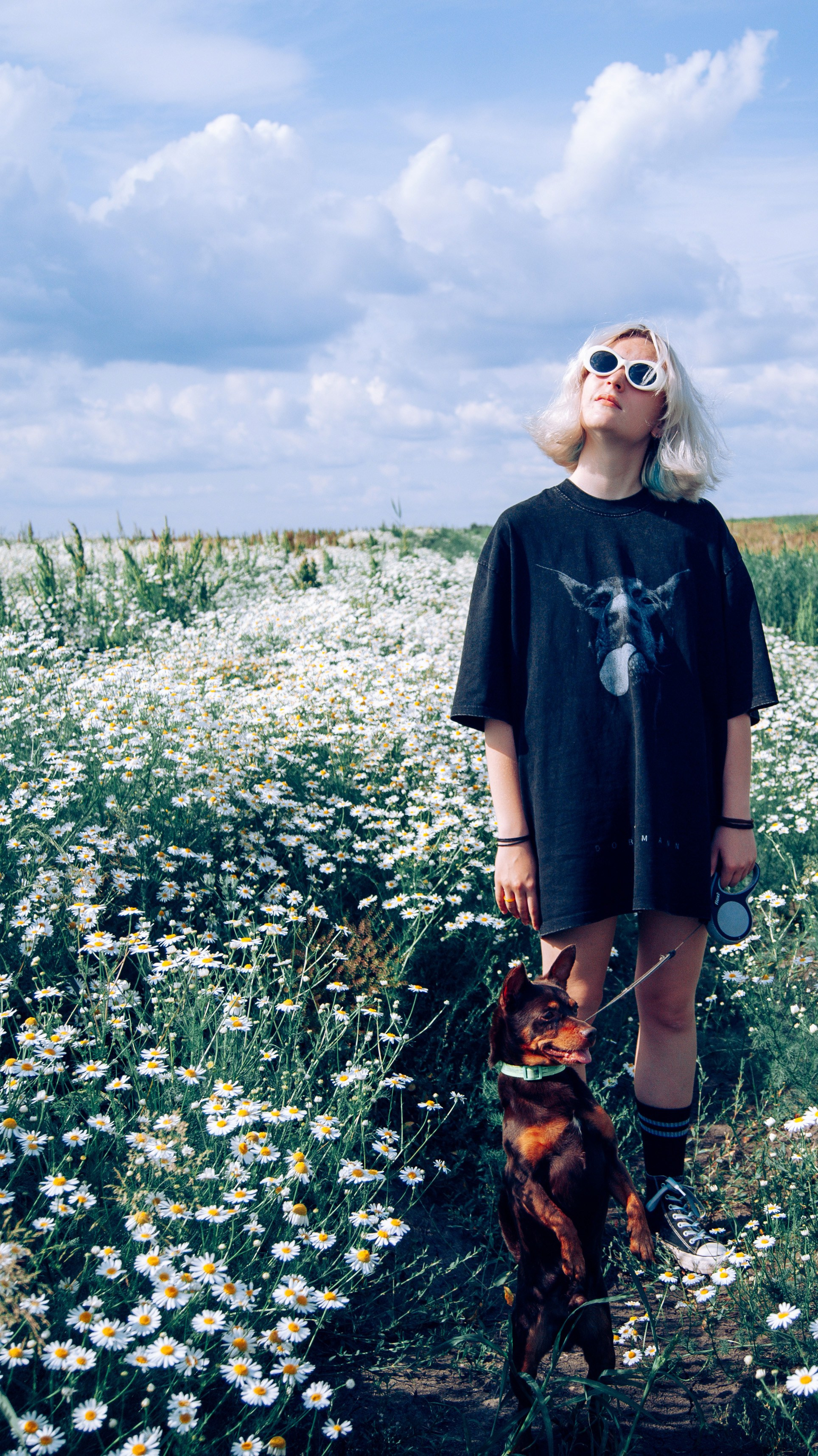 прогулка с собакой в ромашковом поле