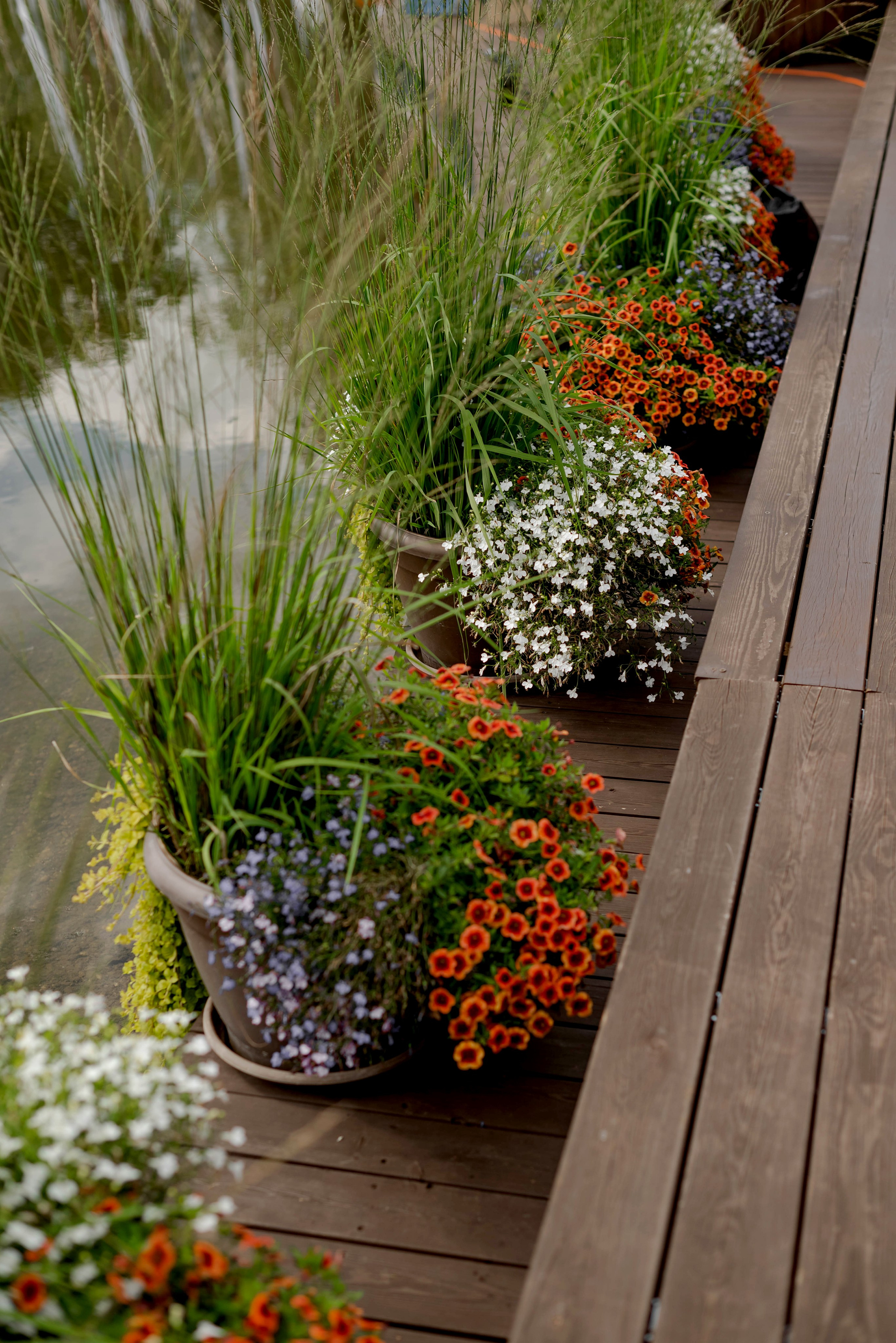 В стиле свободы. Свадебный и семейный фотограф в Новосибирске, Санкт-Петербурге, Москве