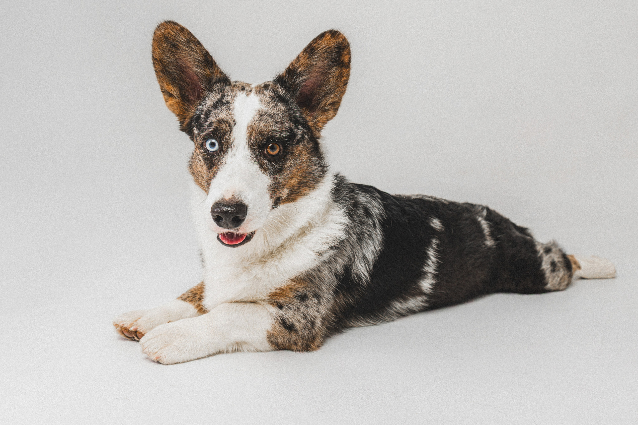 Анатолий и Рагнар