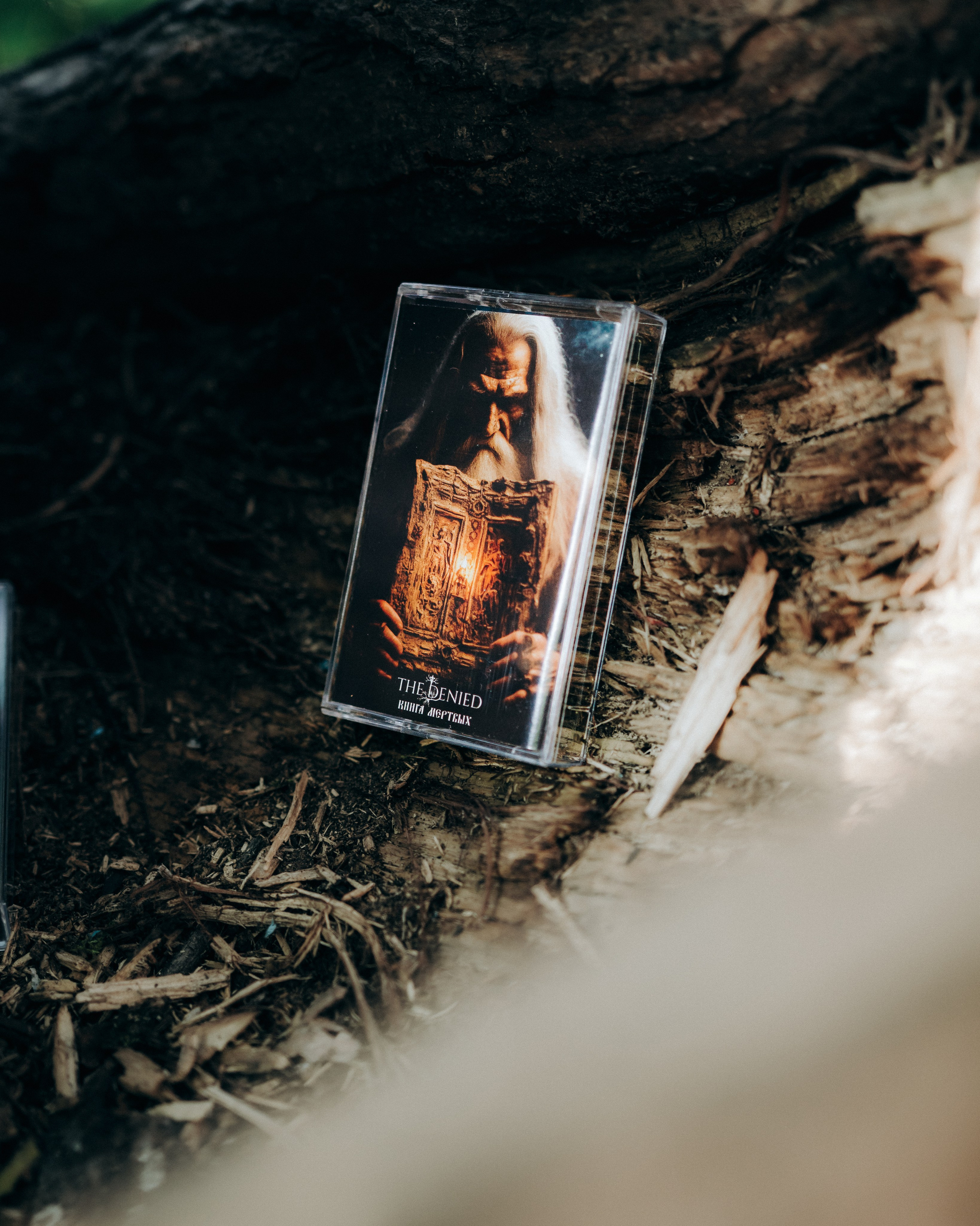 Мерч для The Denied