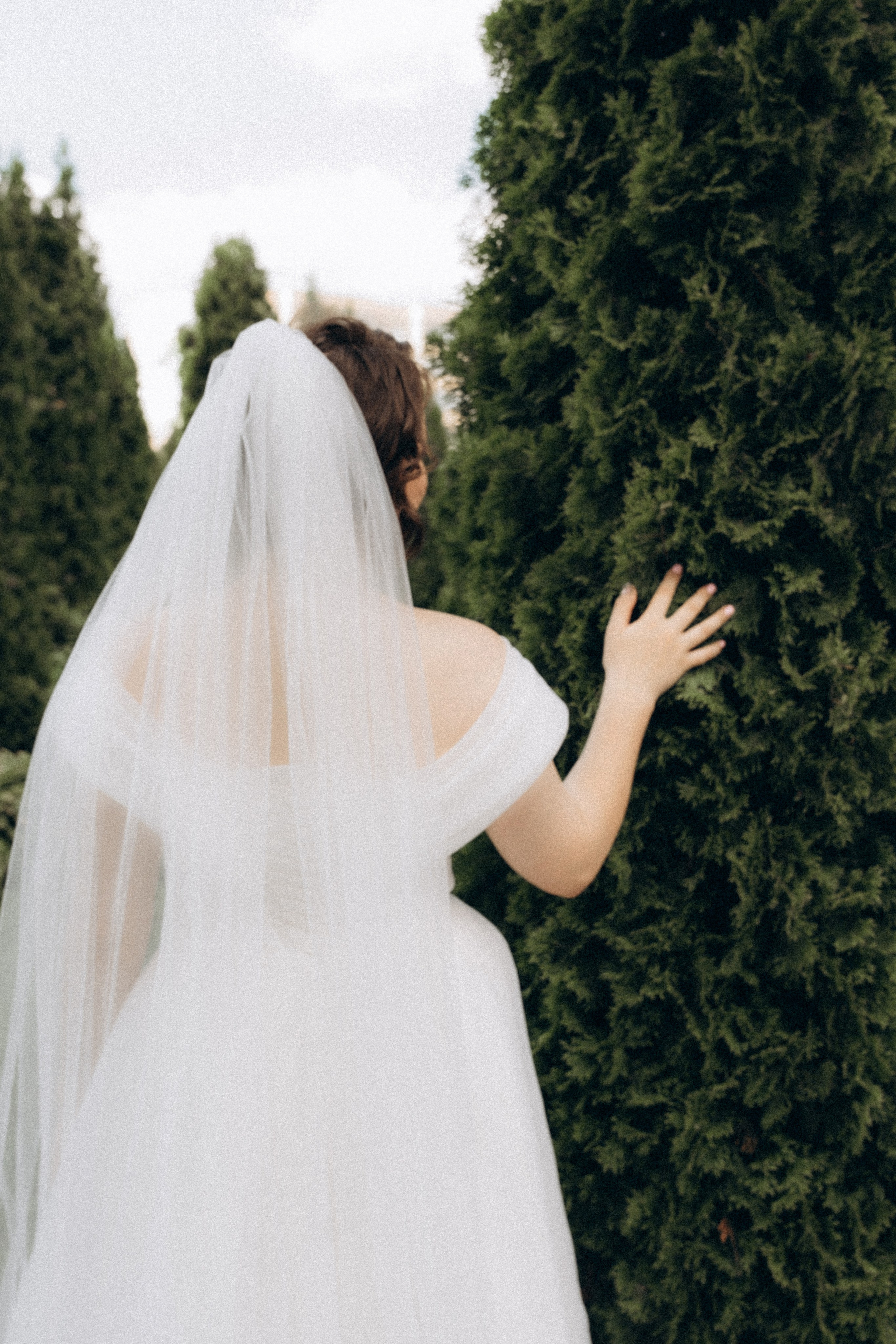 Елена и Дмитрий. Фотограф Санкт-Петербург/Гомель Виктория Петрова