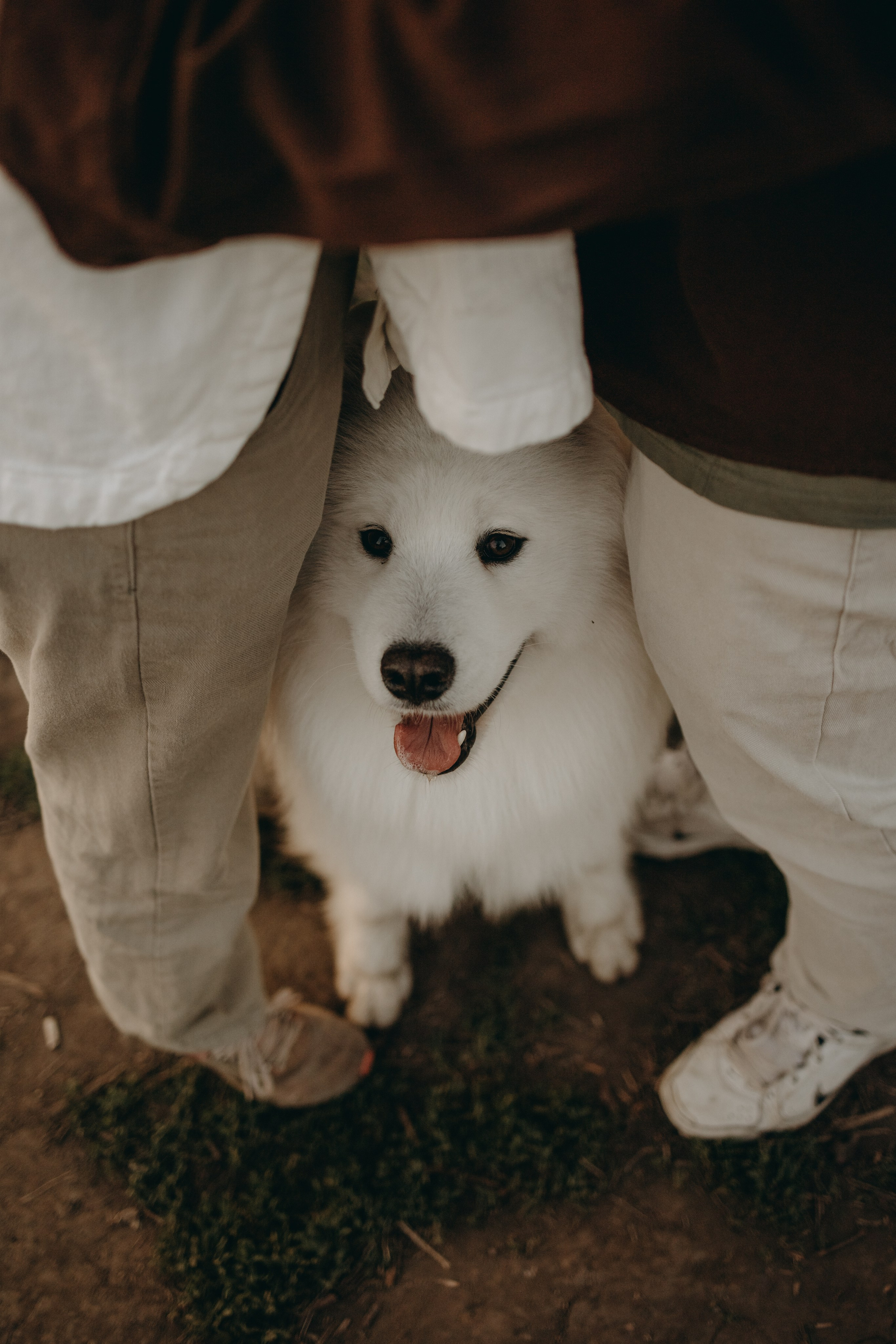 Танго и его семья. Фотограф — Анималист | Санкт-Петербург