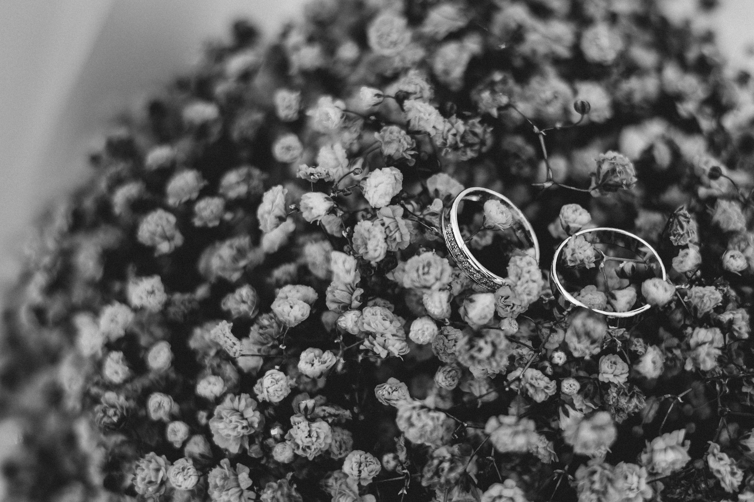 Андрей и Елена. Фотограф Нестратенко Станислав г. Шилка, г. Чита