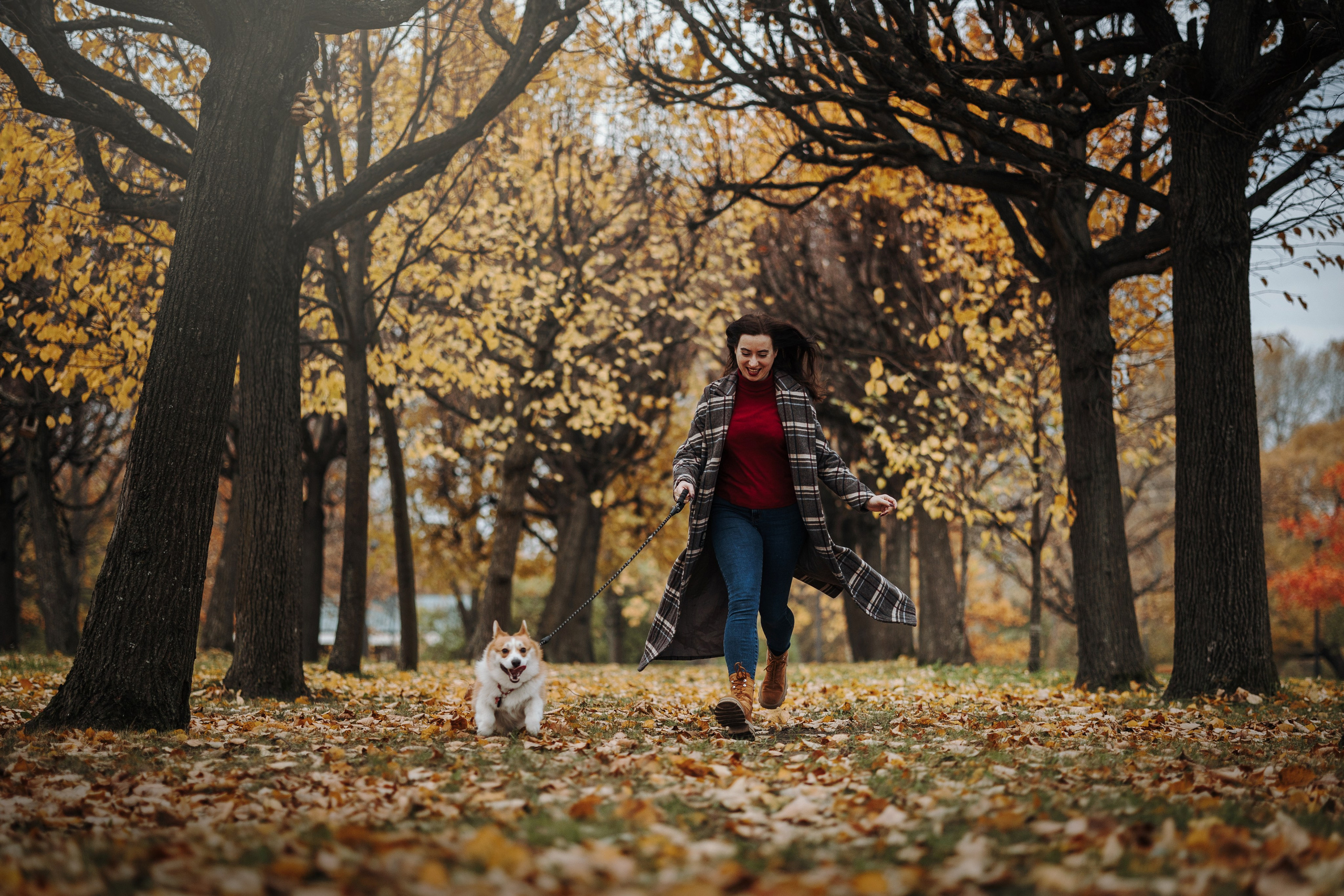 Юля и Терри. Фотограф — Анималист | Санкт-Петербург