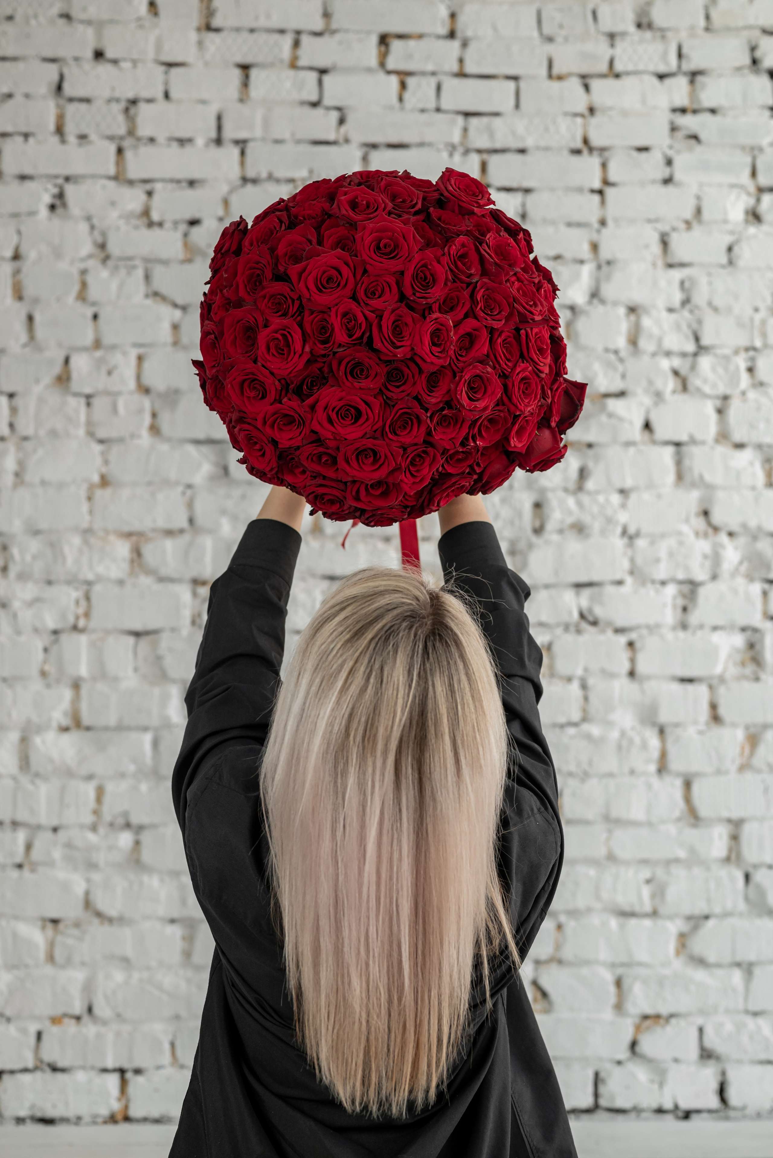 Фотопроект *101 красная роза* 2025 г. Фотограф в городе Салават