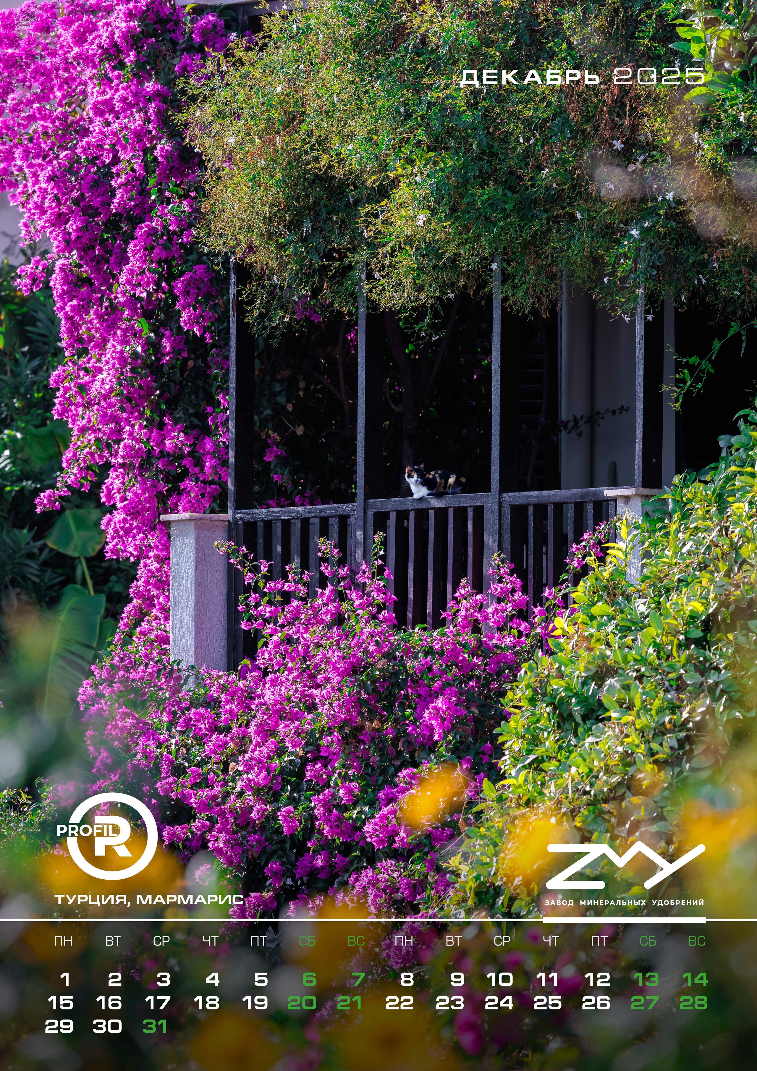 Завод минеральных удобрений 2025. Сложная съёмка для бизнеса b2b / Яхтенный фотограф / Корпоративные календари / Промышленная съёмка / Спортивный репортаж