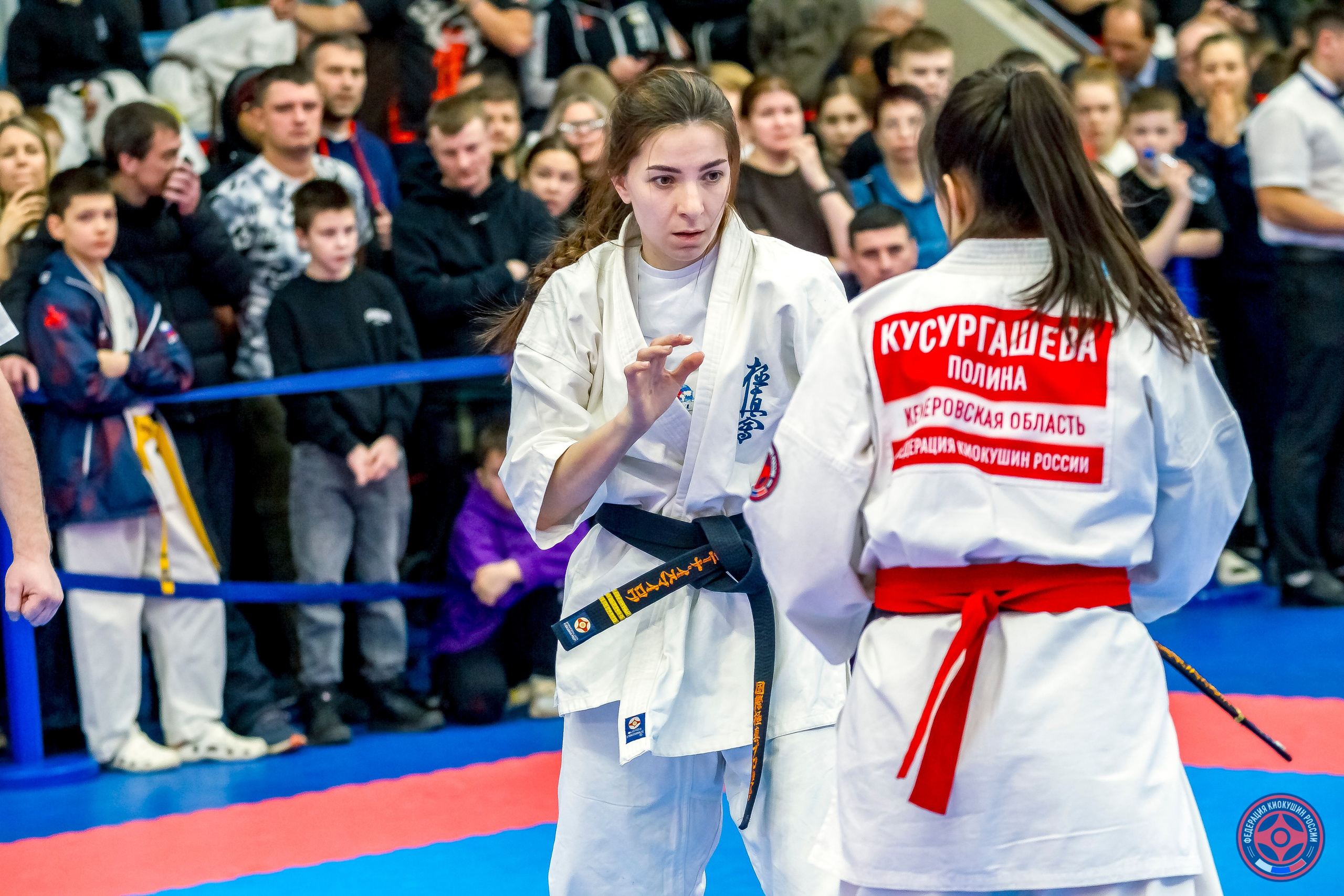 Международный турнир по киокушин «Открытый кубок Seiken». Репортажная съемка в Москве и области. Анималистика