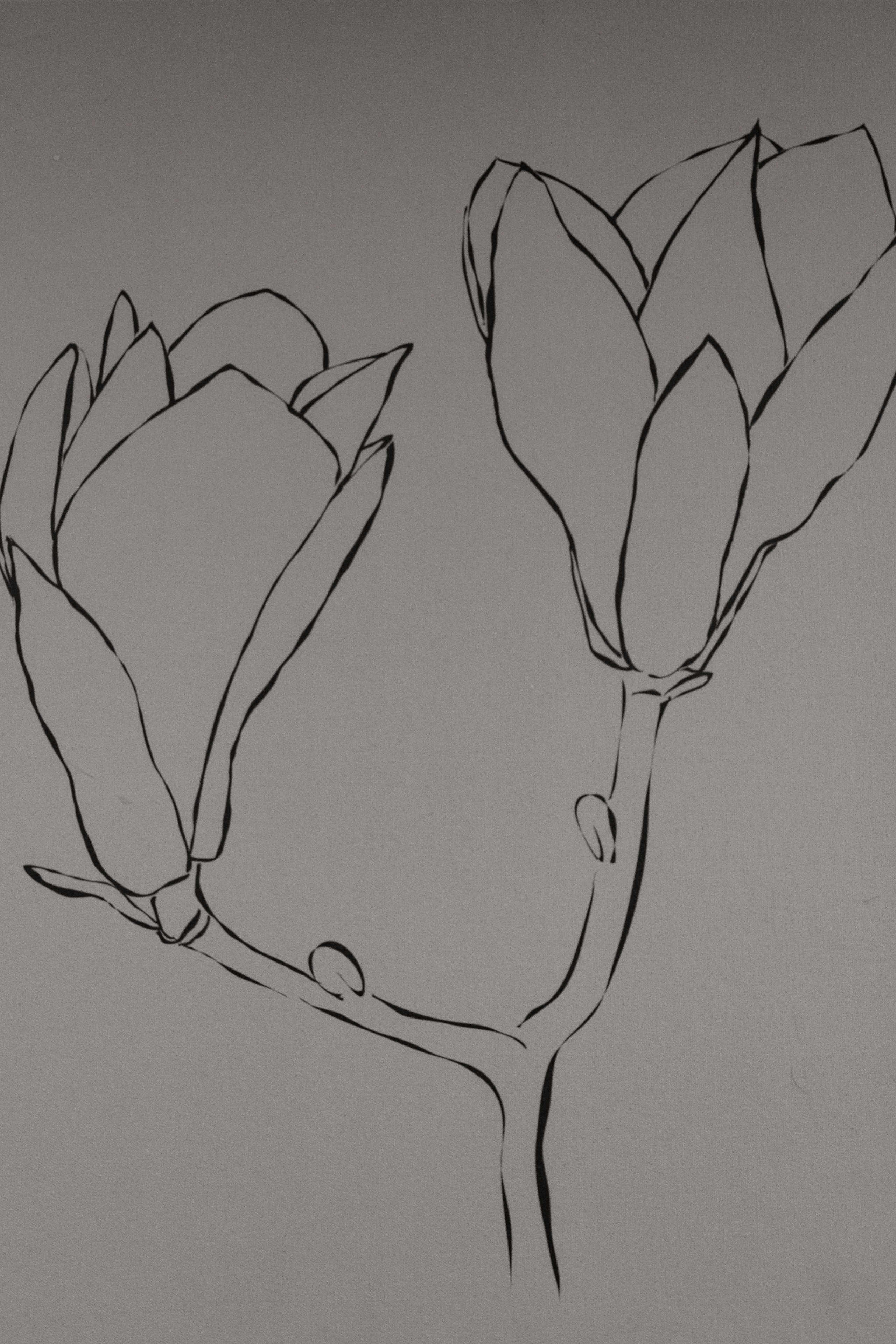 Даниил и Дарья. Свадебный фотограф Фадеева Алёна