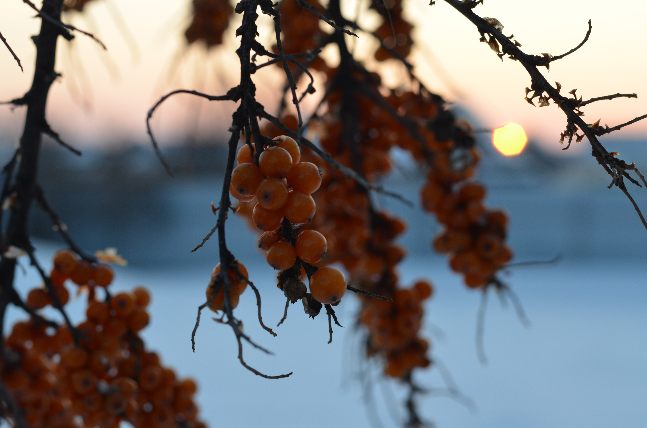 Фото. Ильнур Таминдаров