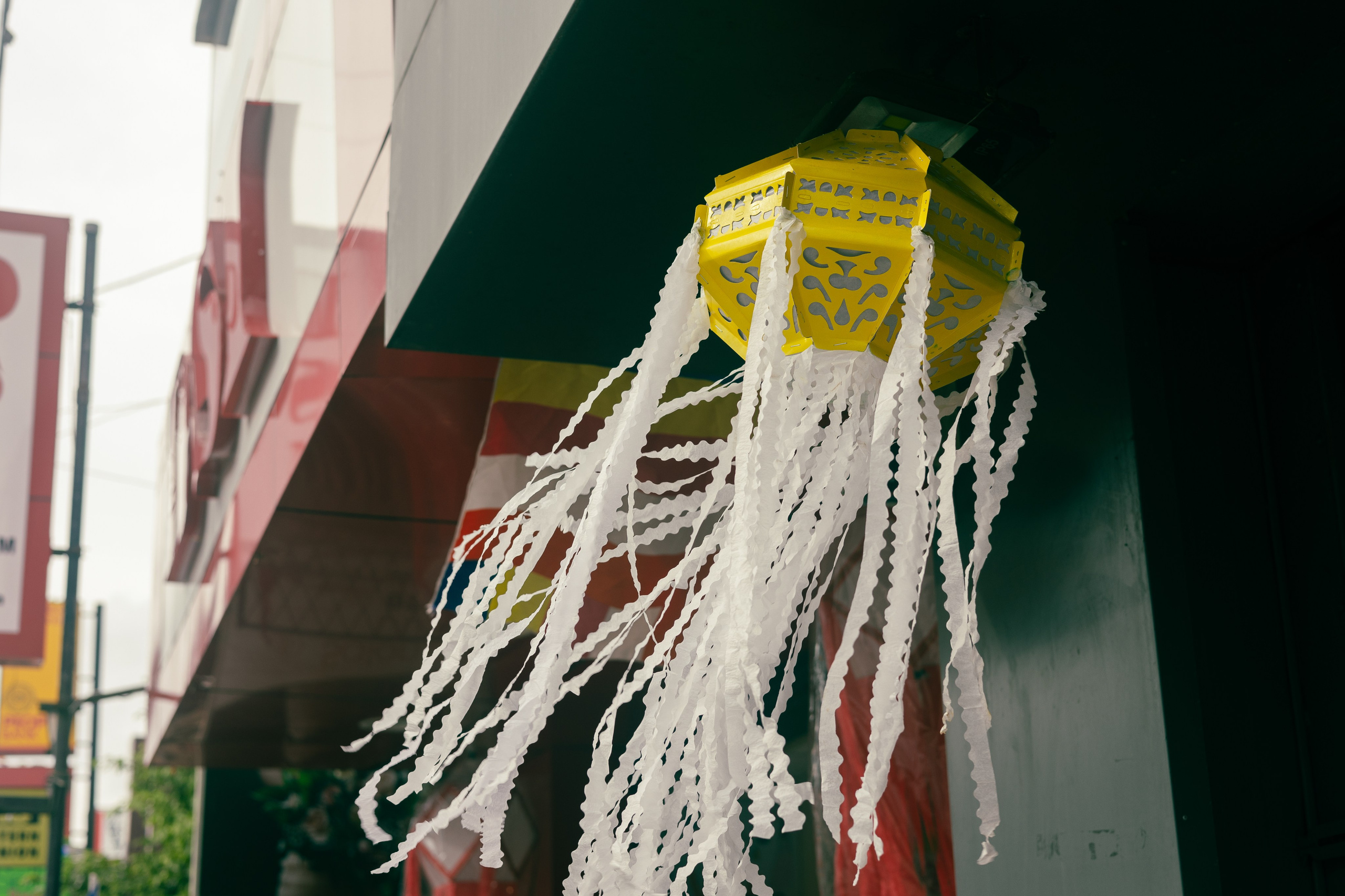 Vesak Poya 2023. Photographer Sonkina Tatiana (Tanya Ash)