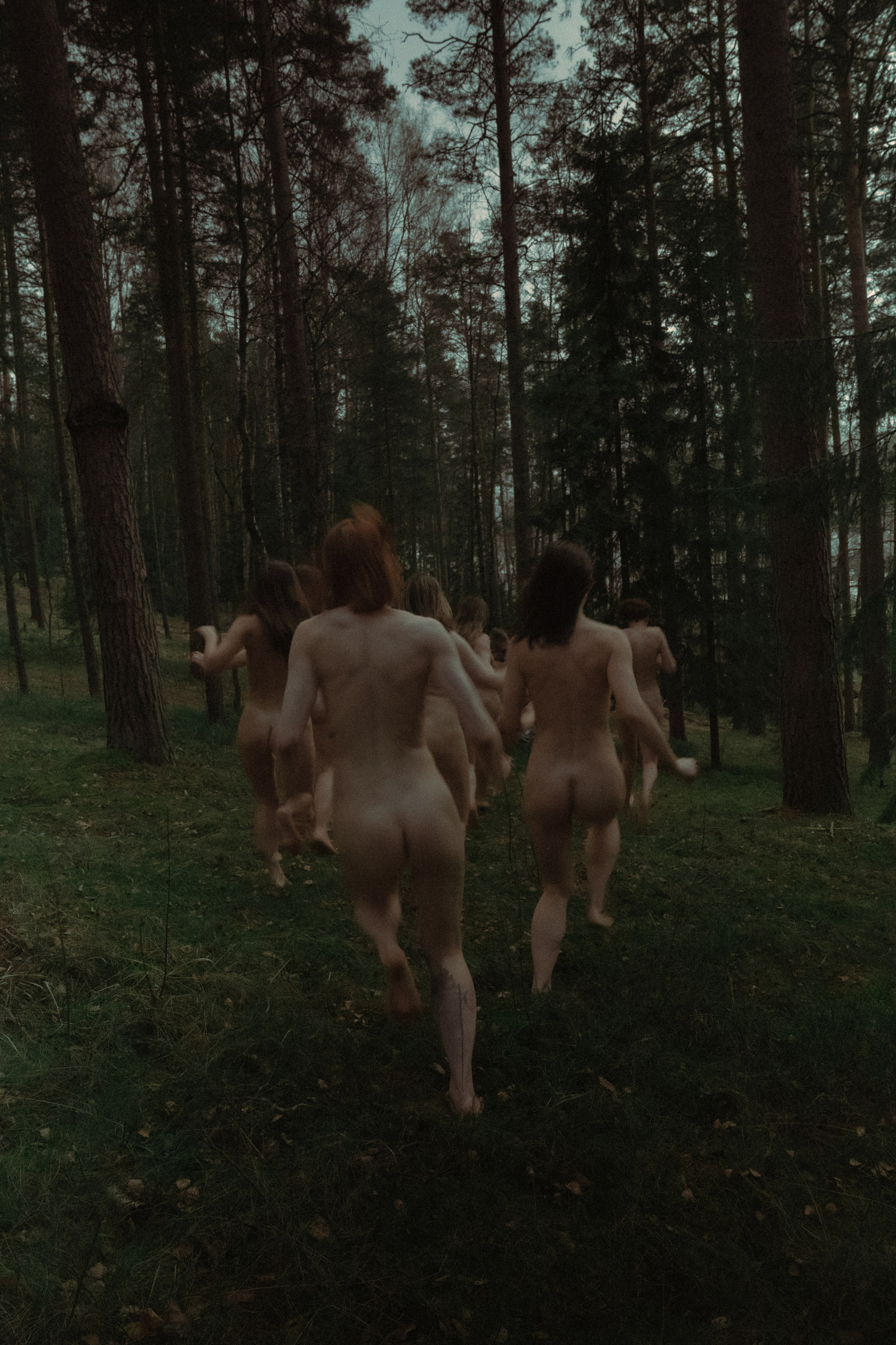 Дикие корни. Художественный фотограф СПБ, Дубай