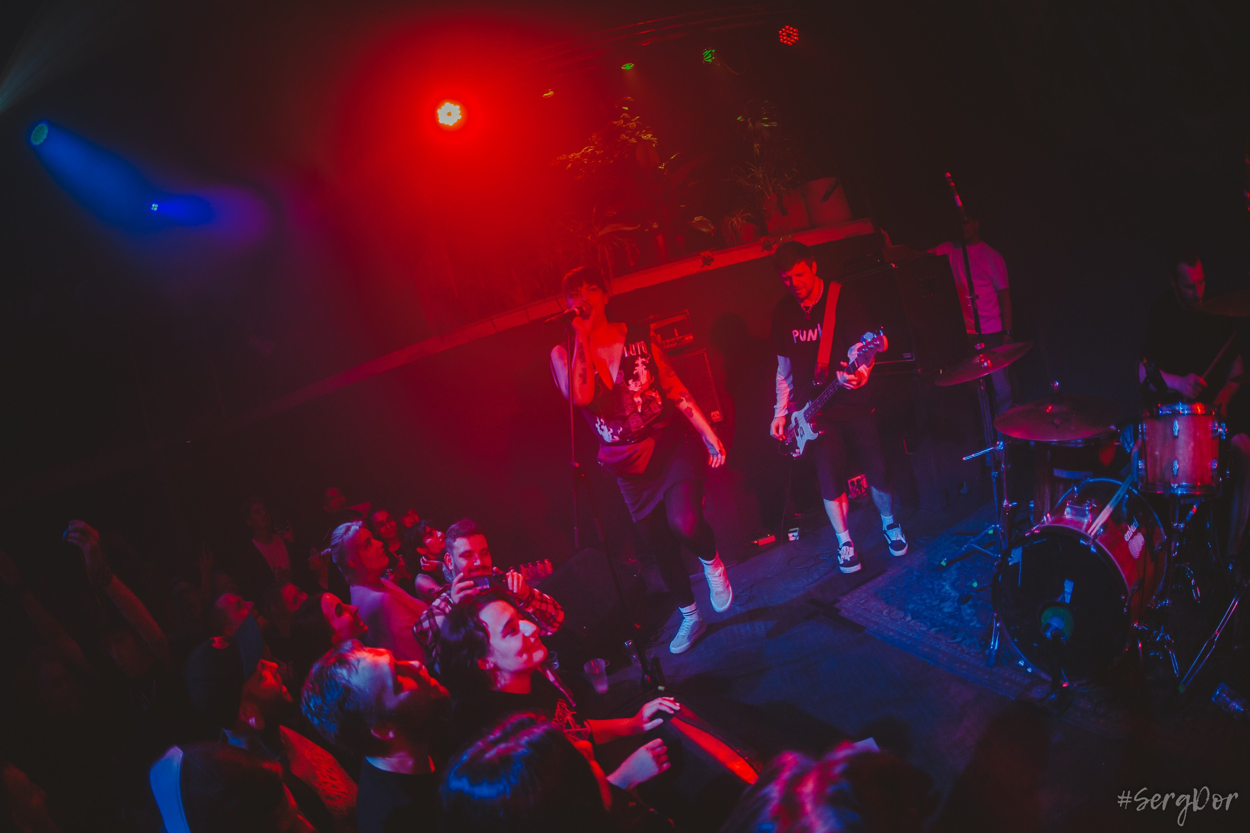 bzik, КАКЛ,  Концерт-Ангажемент в Клубе Ласточка, Ласточка, концерт, панк-рок, панк, Санкт-Петербург, СПб, бзик, 19.09.2024, SergDor, 19 сентября 2024 года, #SergDor