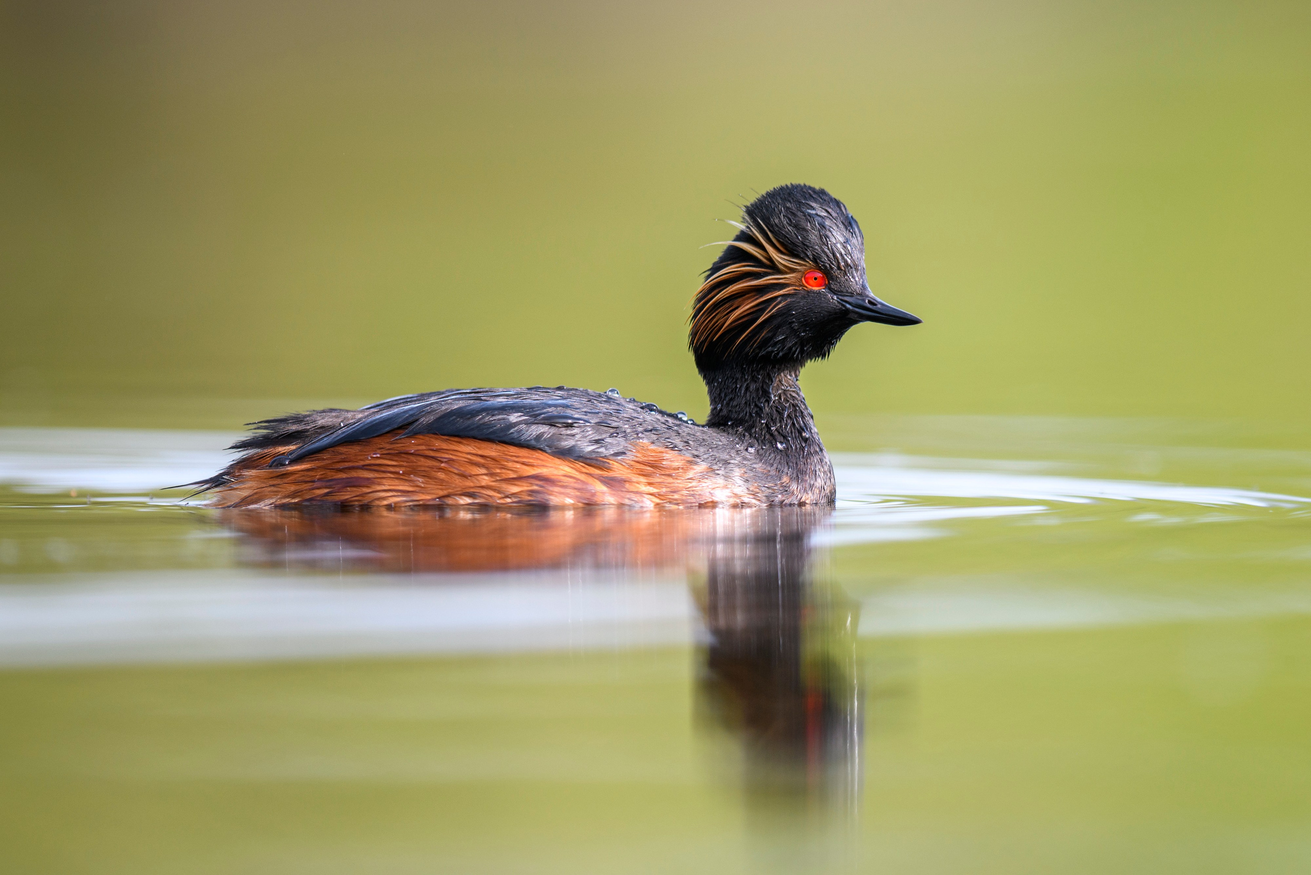 Выкрутасы. Фотограф Сергей Пупонин
