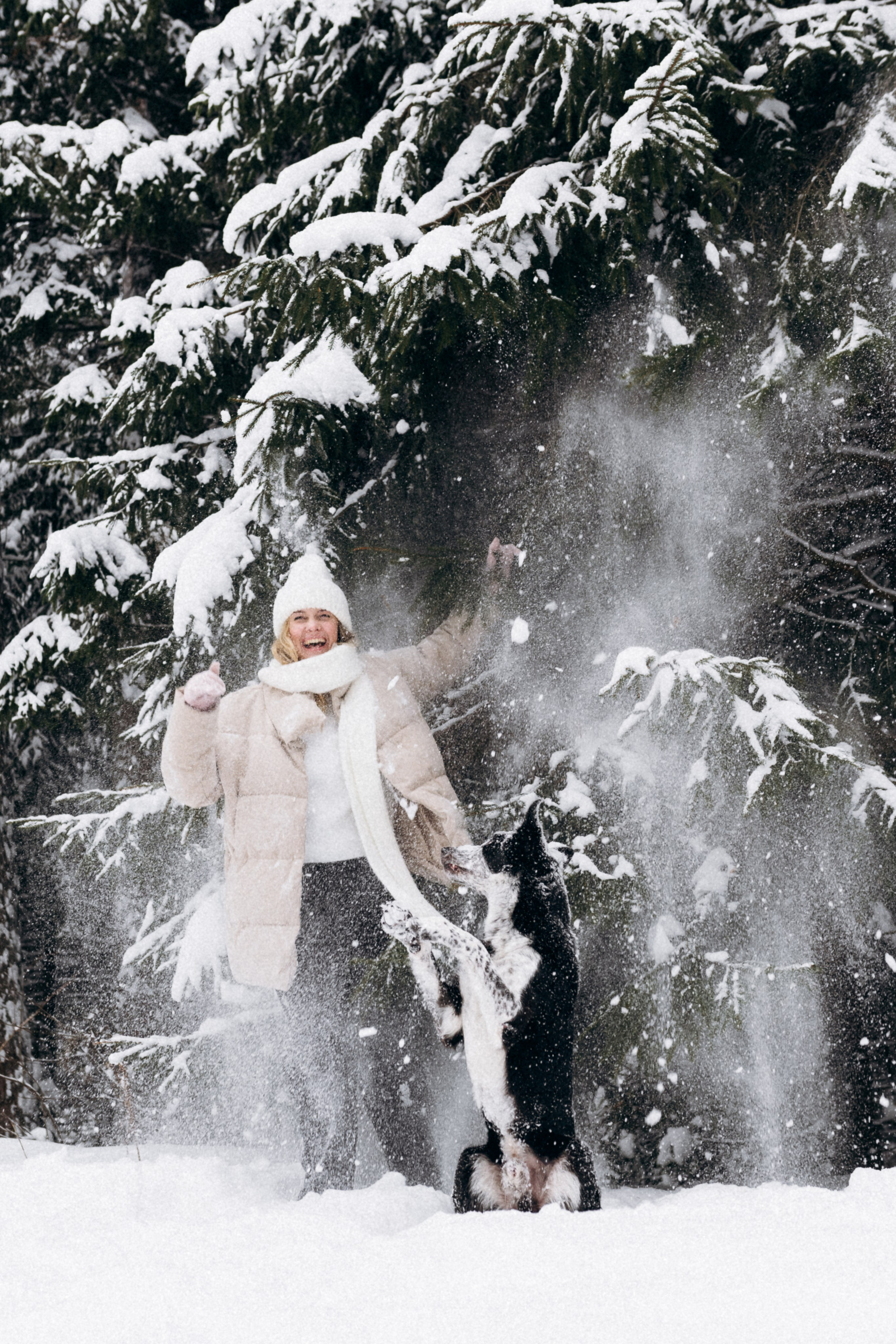 Аня и Милан. Фотограф анималист в Москве Ольга Агушева