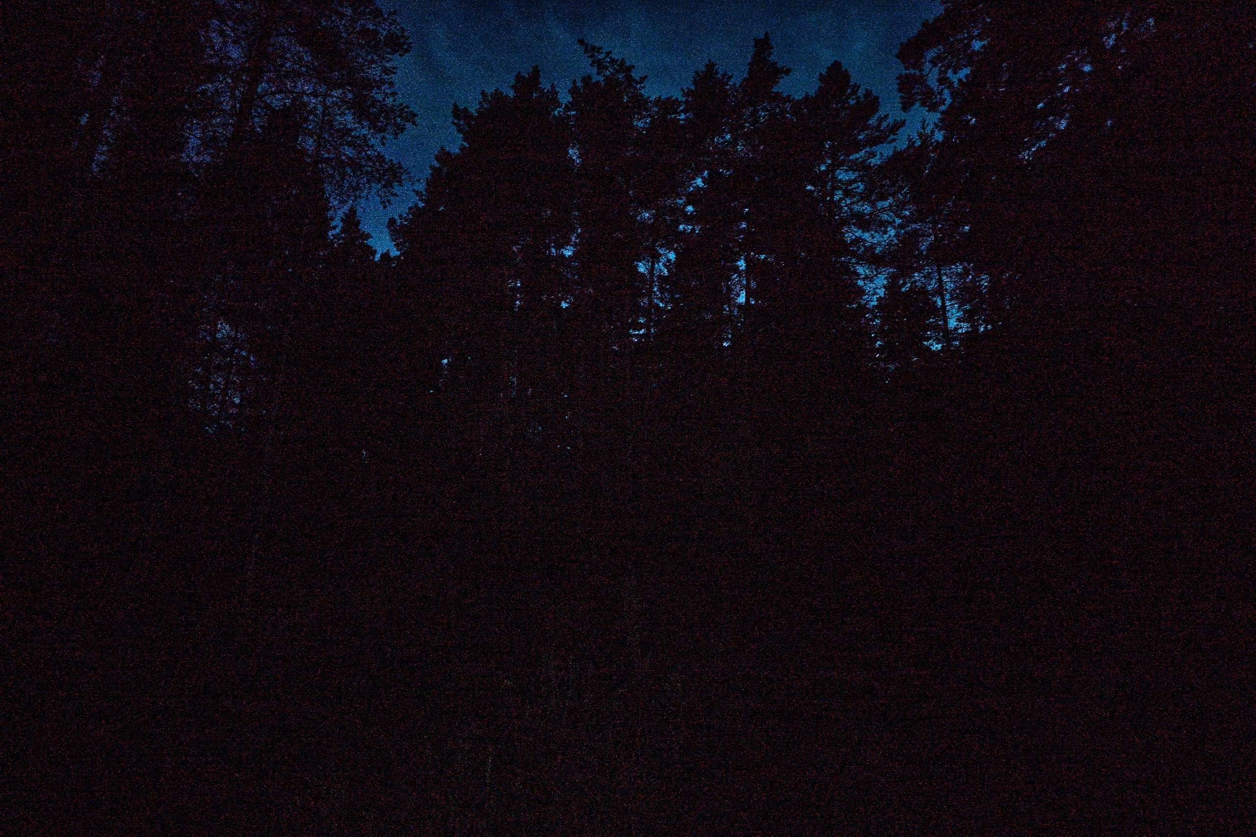 Реклама, промо и контент. Фотограф Евгений Шаров