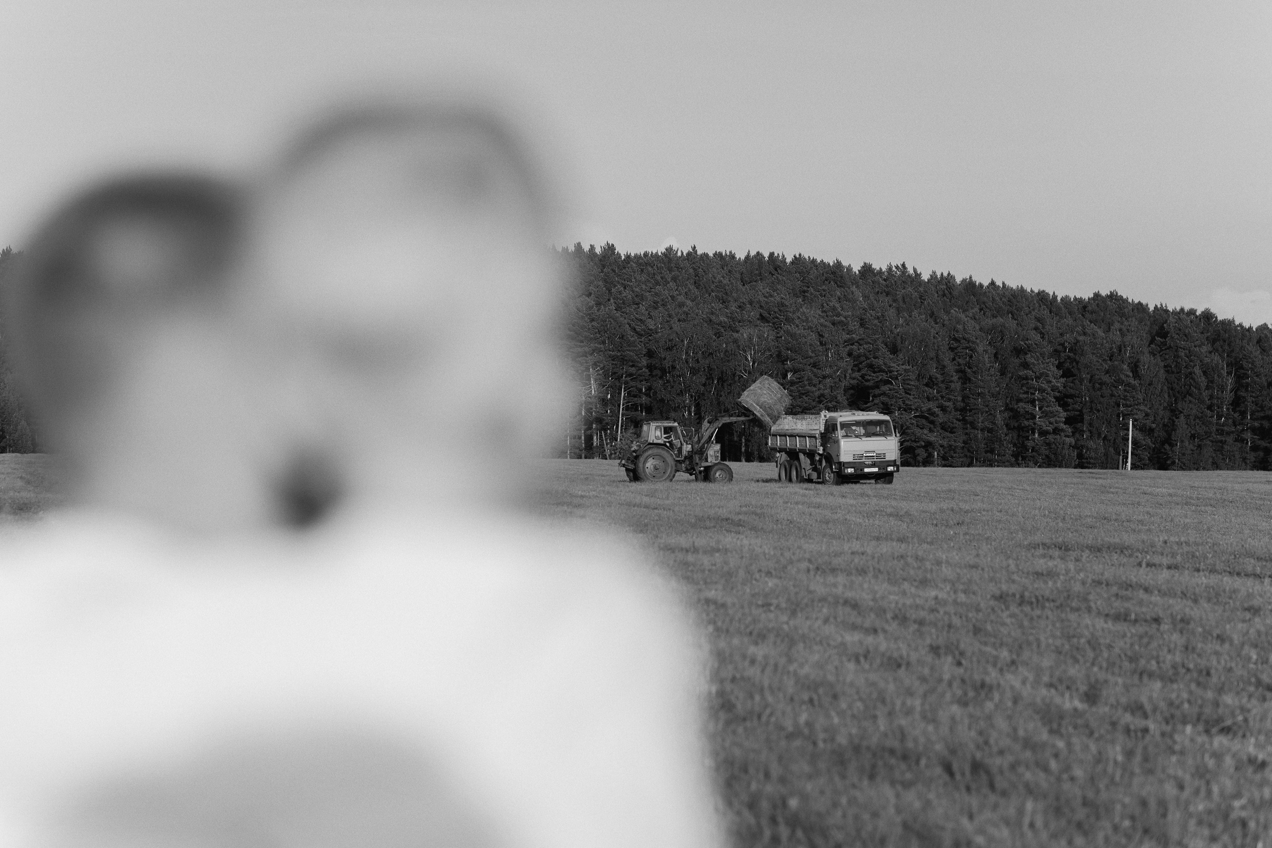 «ВСЛЕД ЗА ВЕТРОМ». Maria Startseva Photo