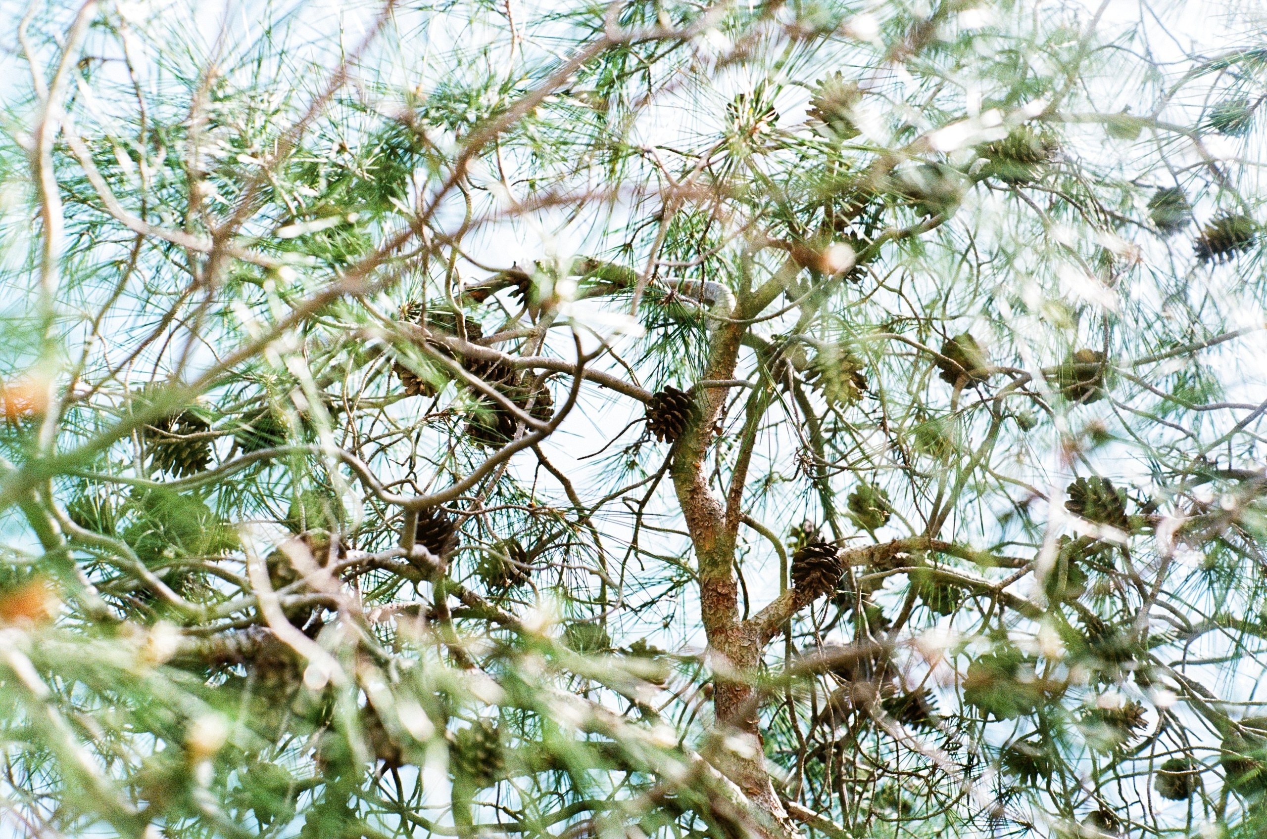 Fine Art Photography. Margarita Rodionova — a contemporary lens-based artist currently working in Cancun, Mexico