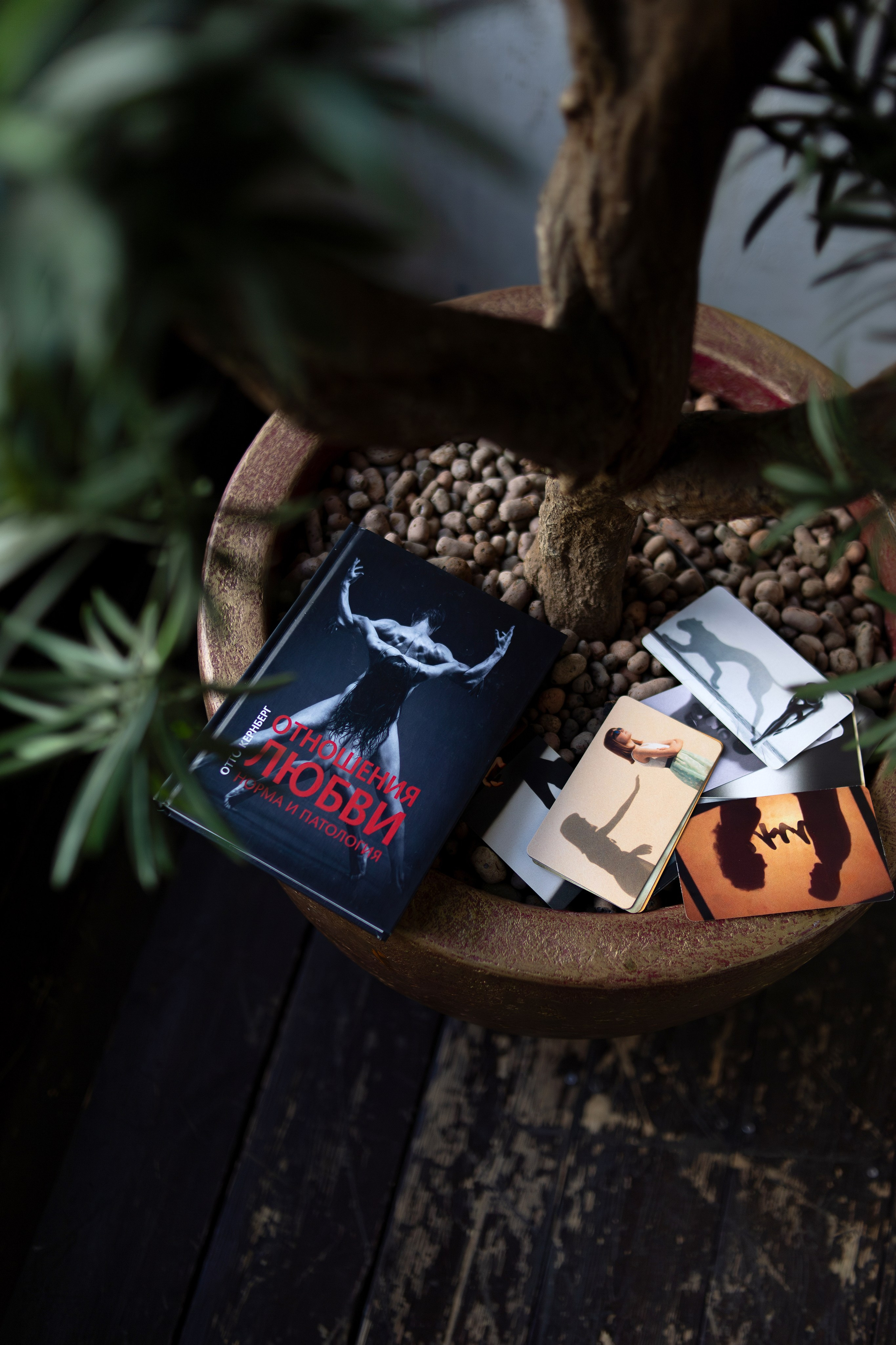 Контент-съёмка. Фотограф Москва / Балашиха