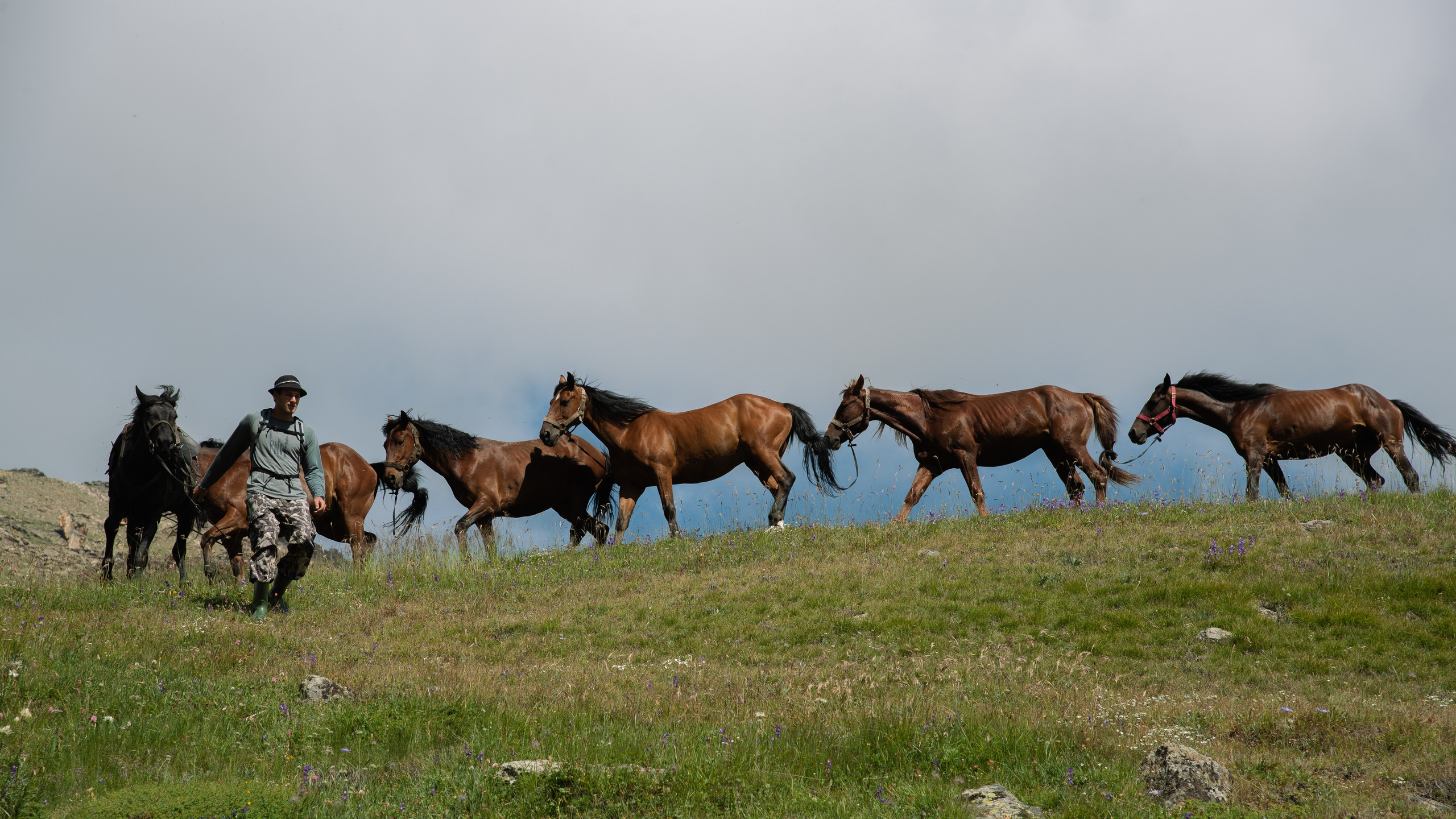 Портфолио. Спортивный и репортажный фотограф в Лениногорске Эдуард Шакиров
